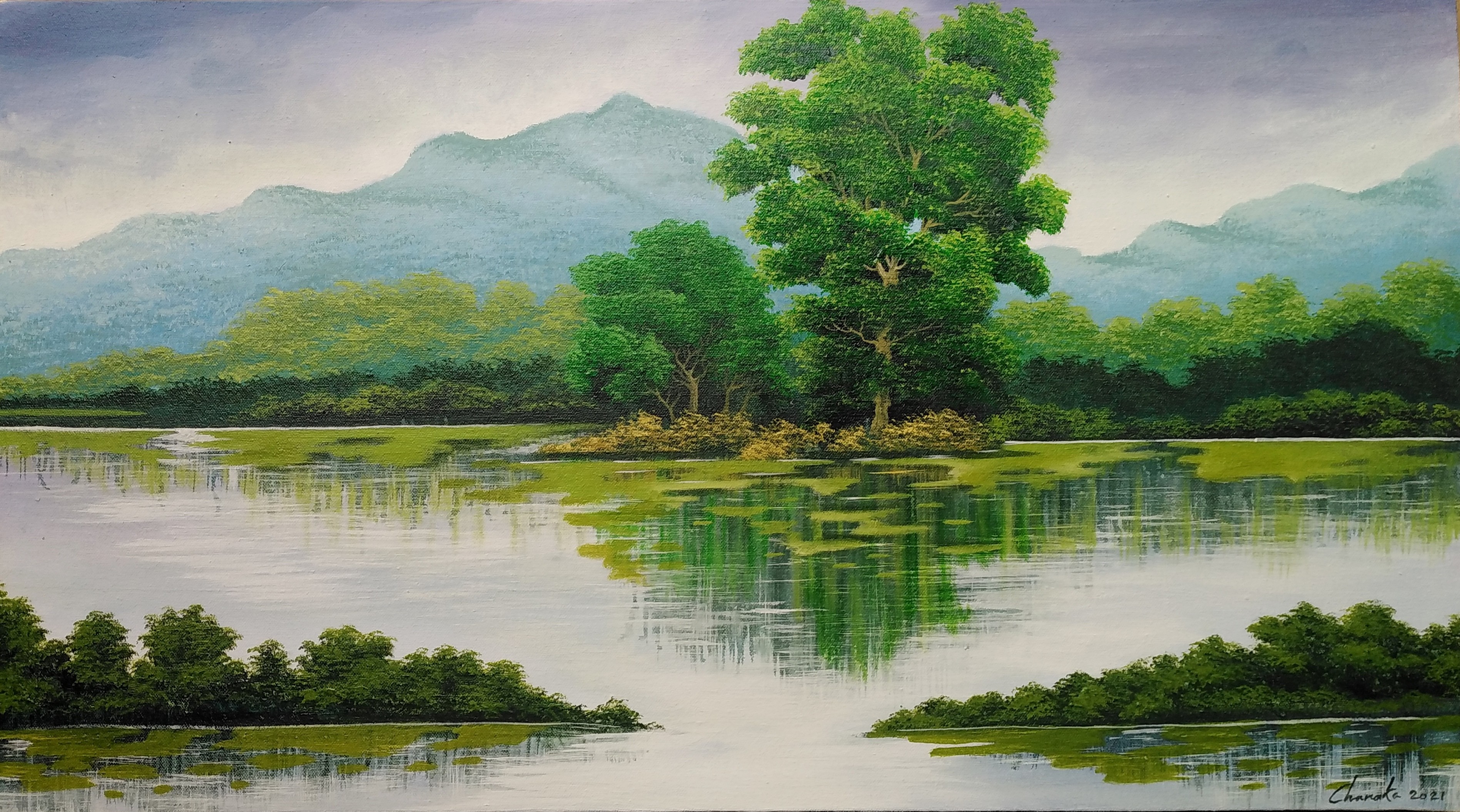 Landscape by nilantha Chanaka