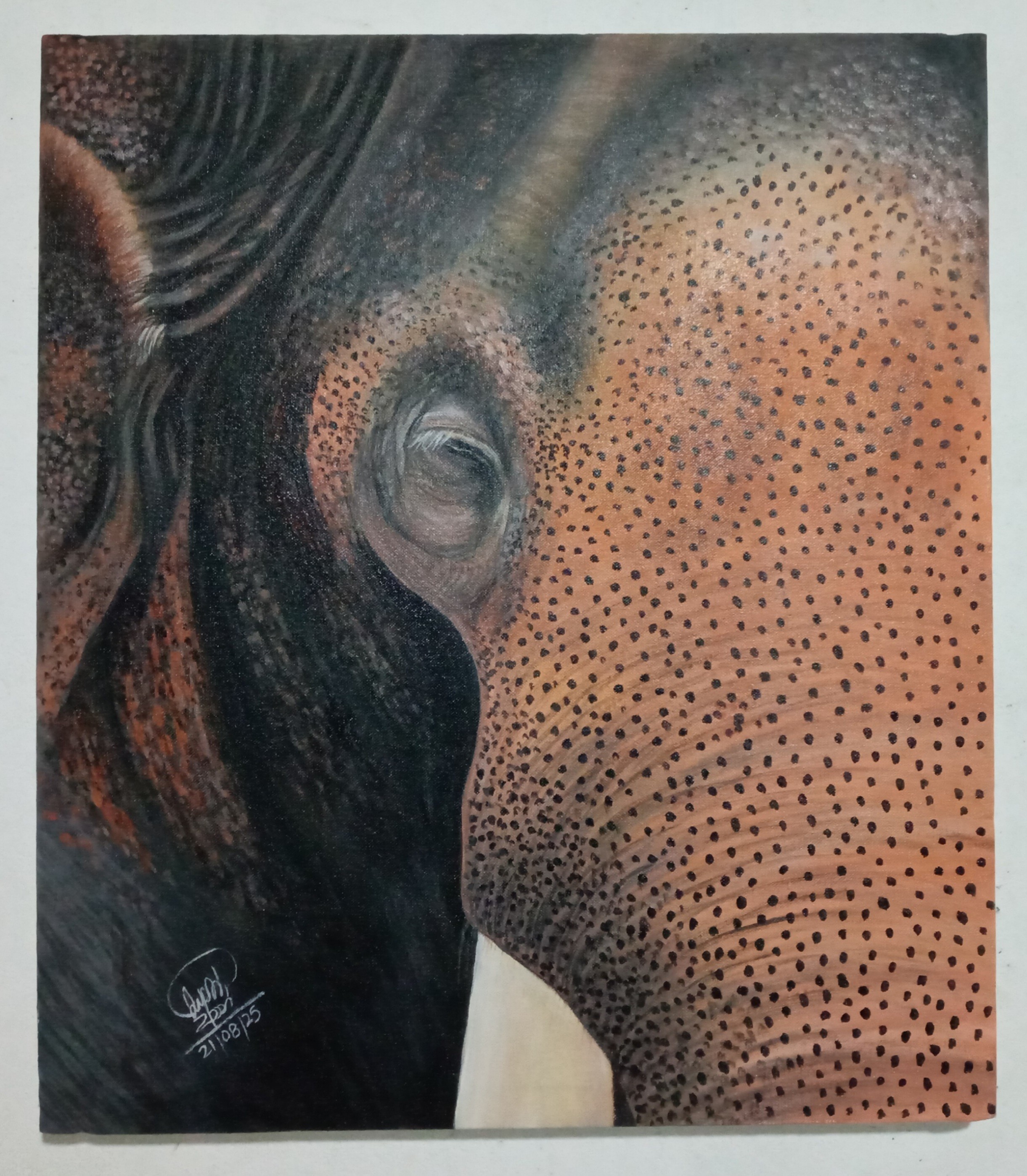 A lone elephant III by SUMITH FERNANDO