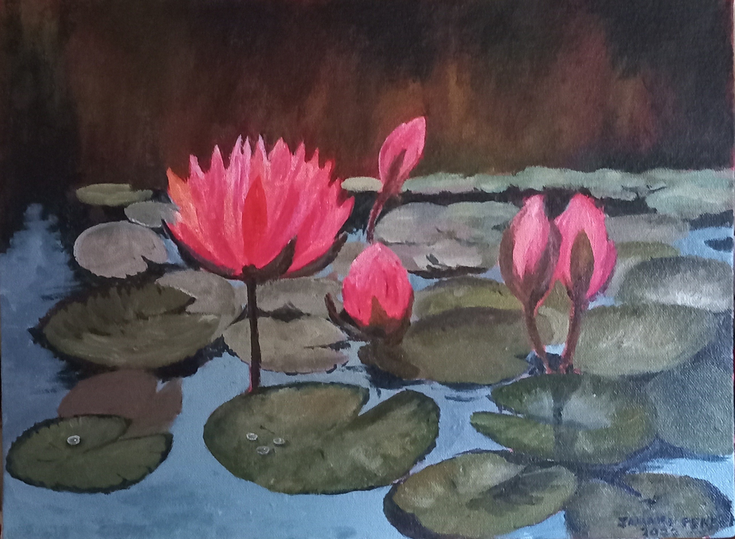 Water lilies by Janaki Perera