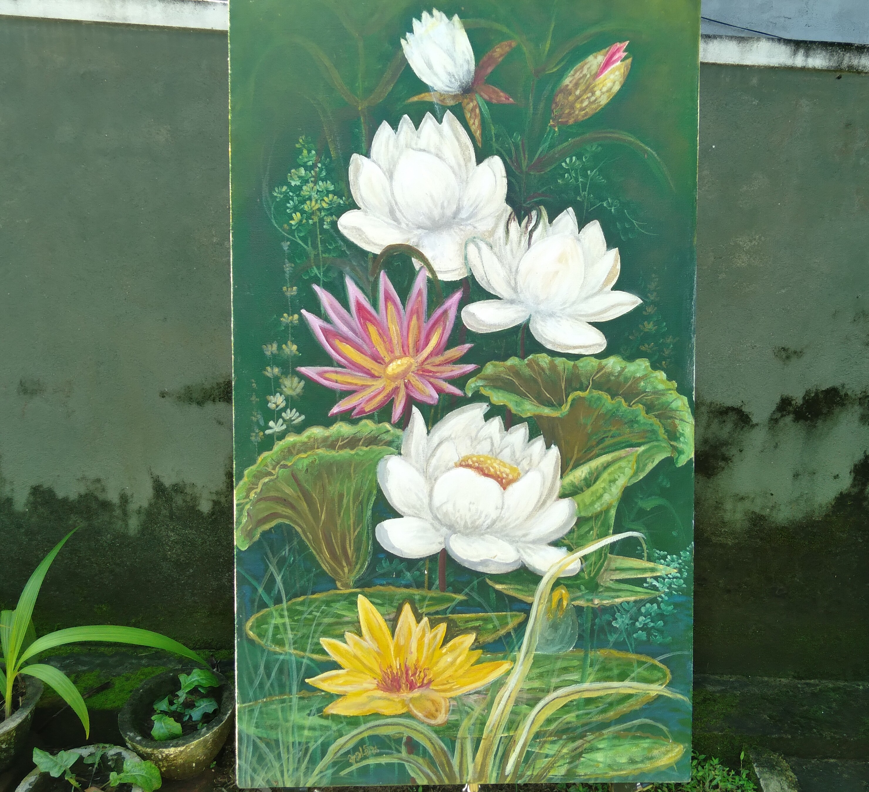 Lotus flowers by W. Oliver Mendis