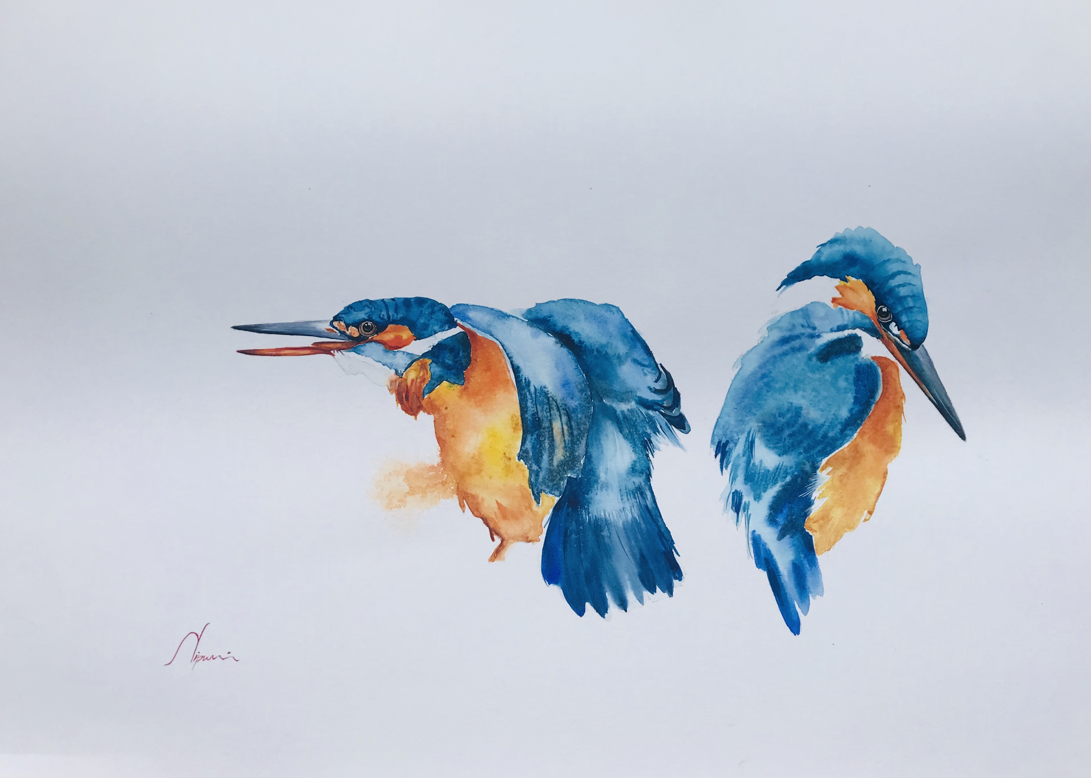 Arrogance Kingfishers by NIPUNI MALLIKA ARACHCHI