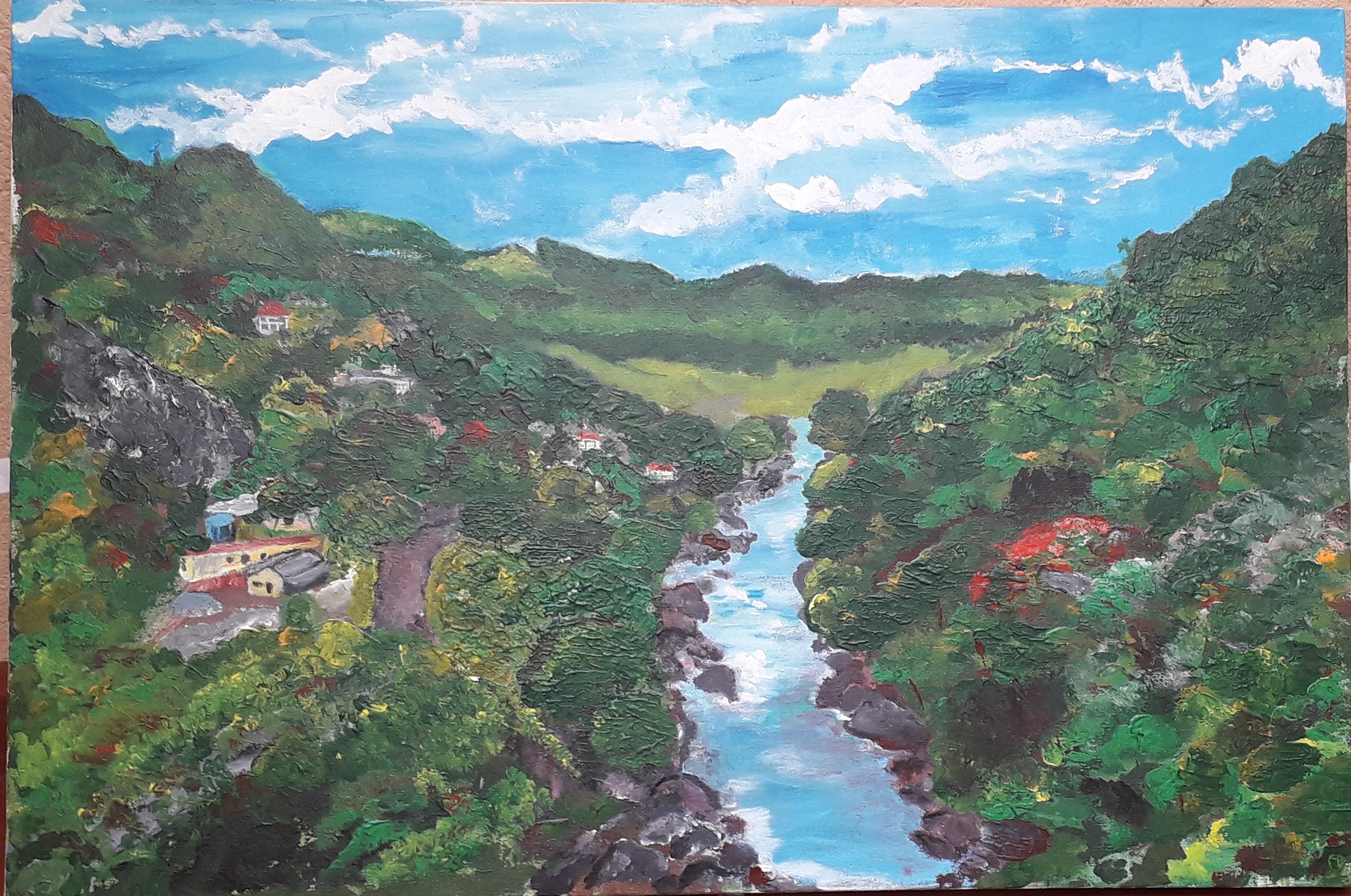 The Mahaweli River- Sr Lanka by Simpson David