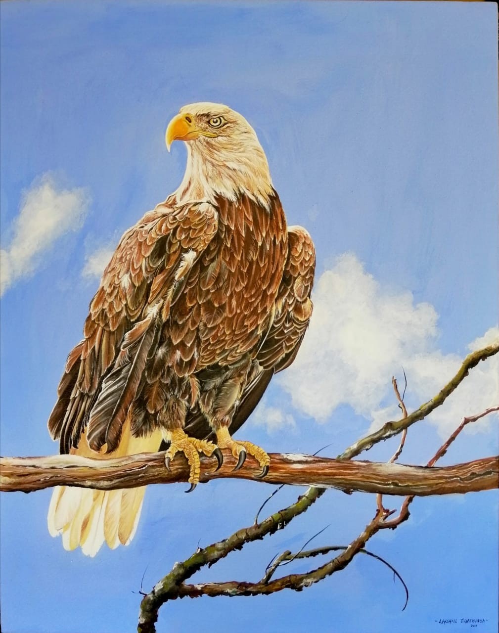 The eagle by Prabhani Amandika