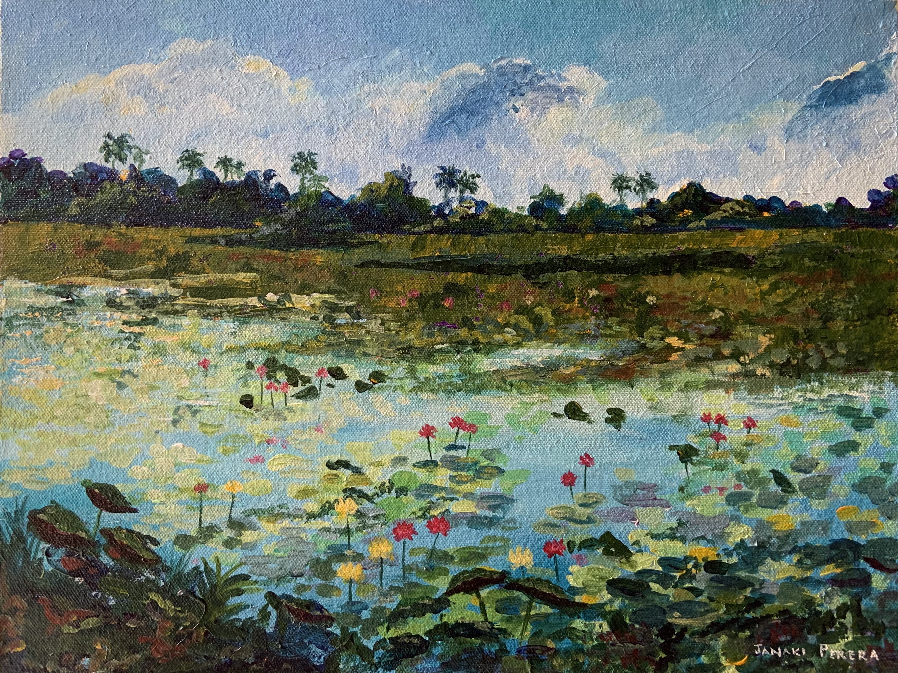 Mannar lake with lotuses by Janaki Perera