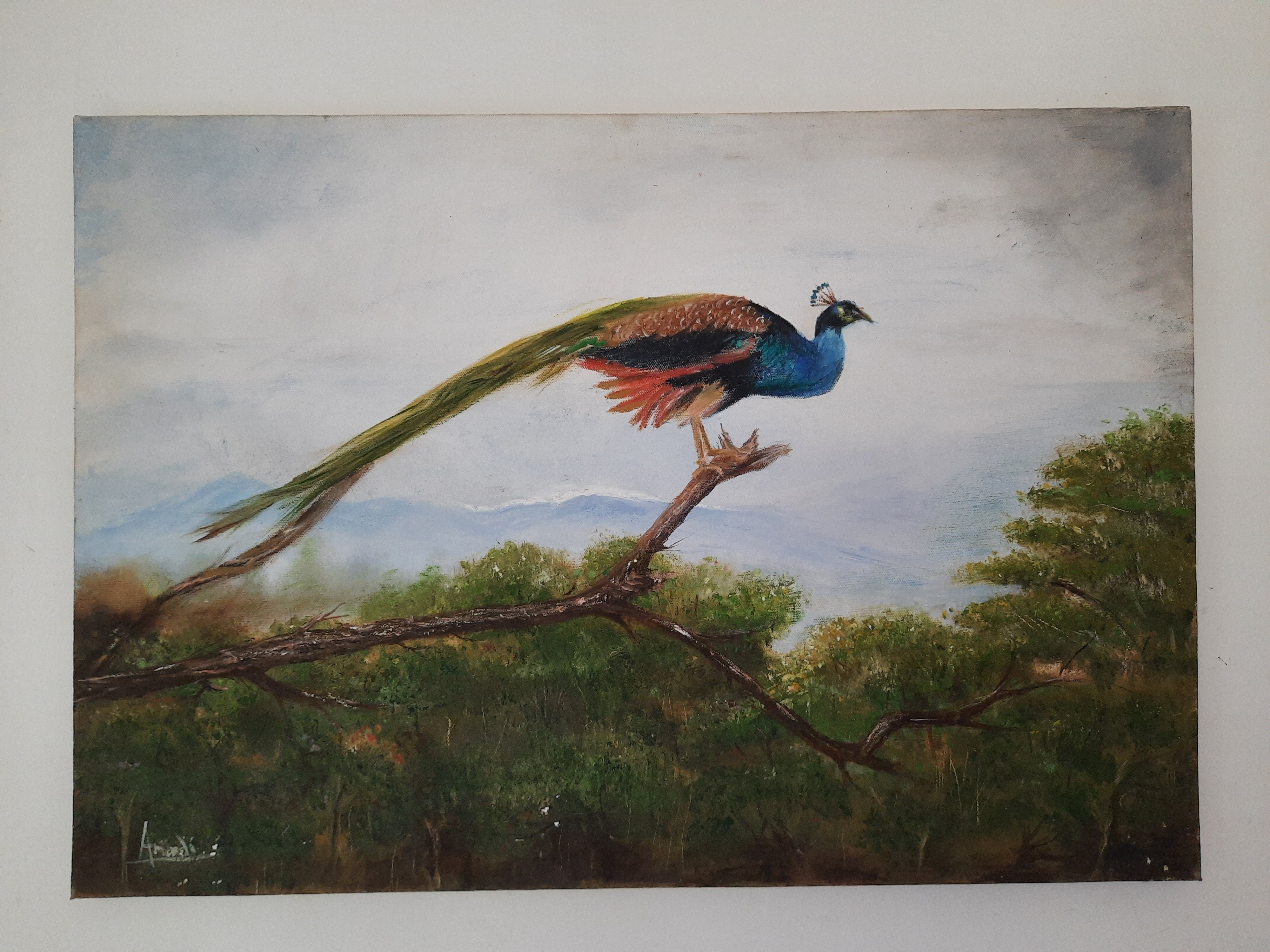 Peacock by Anandi Goonewardene