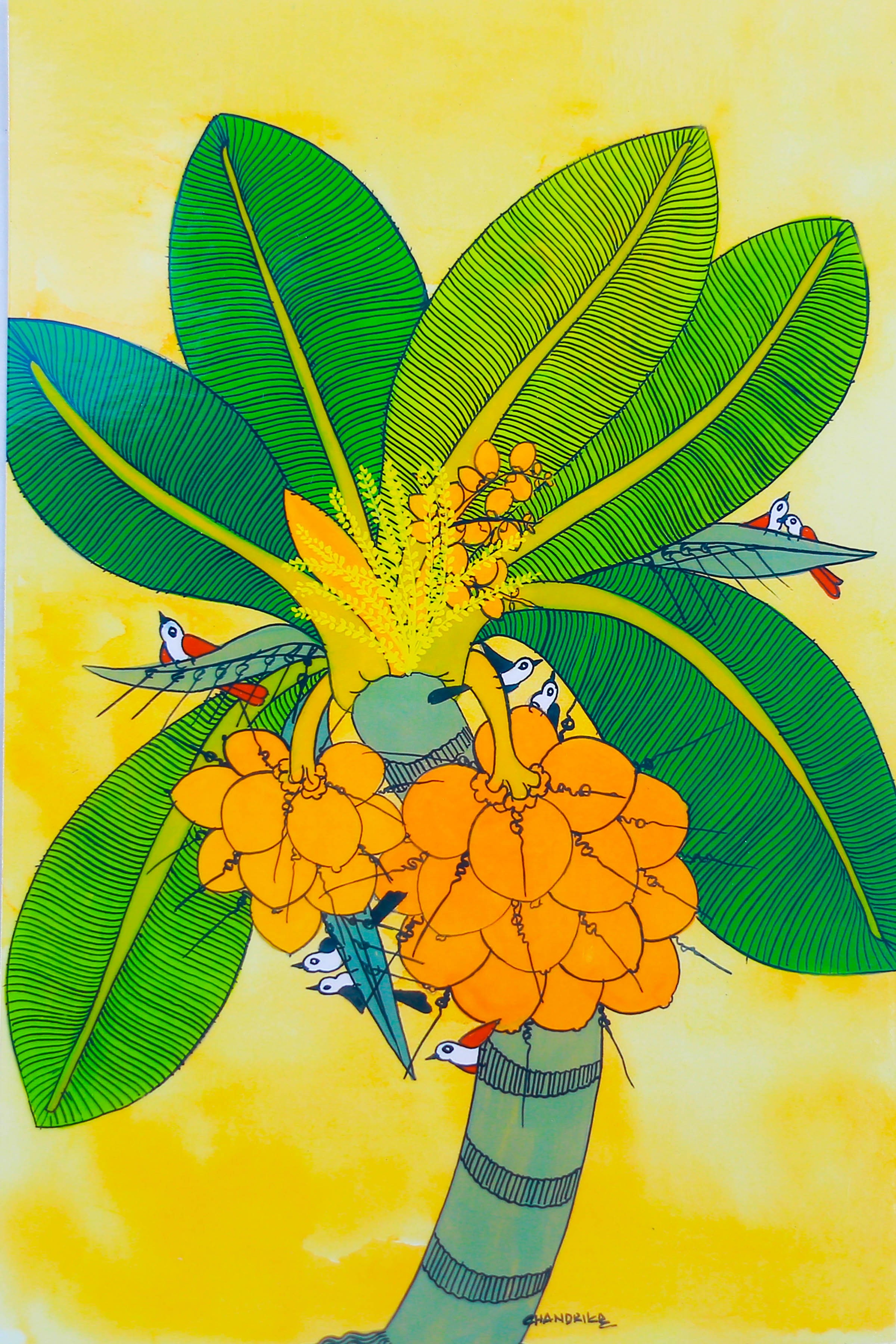 King coconut tree by Chandrika Shiromani