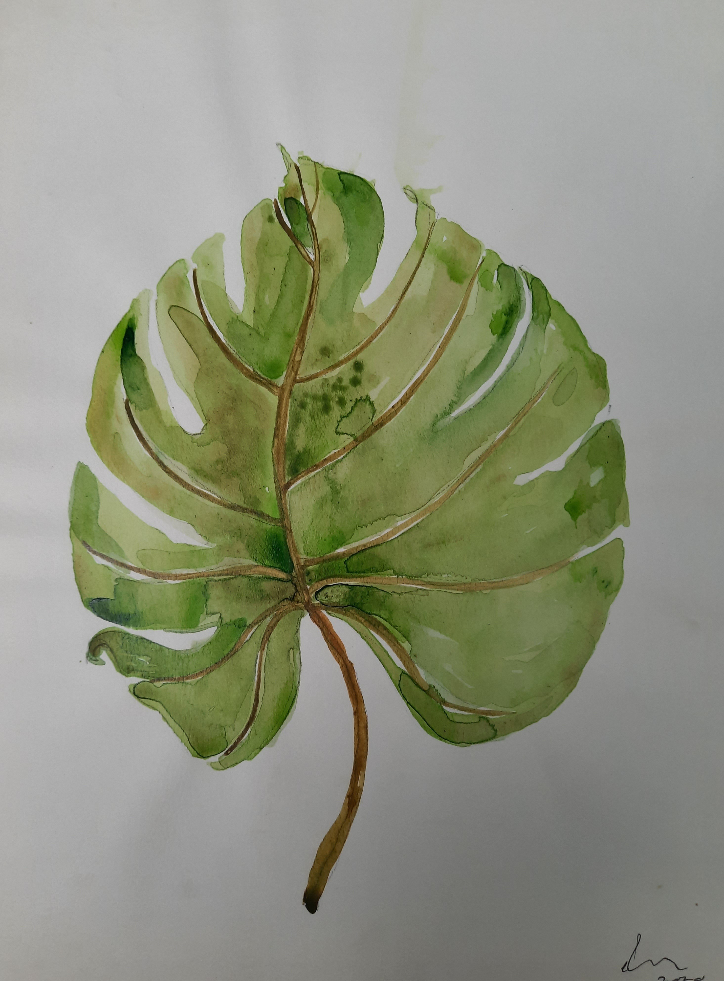 The Leaf by Sanjeewa Ilangarathne