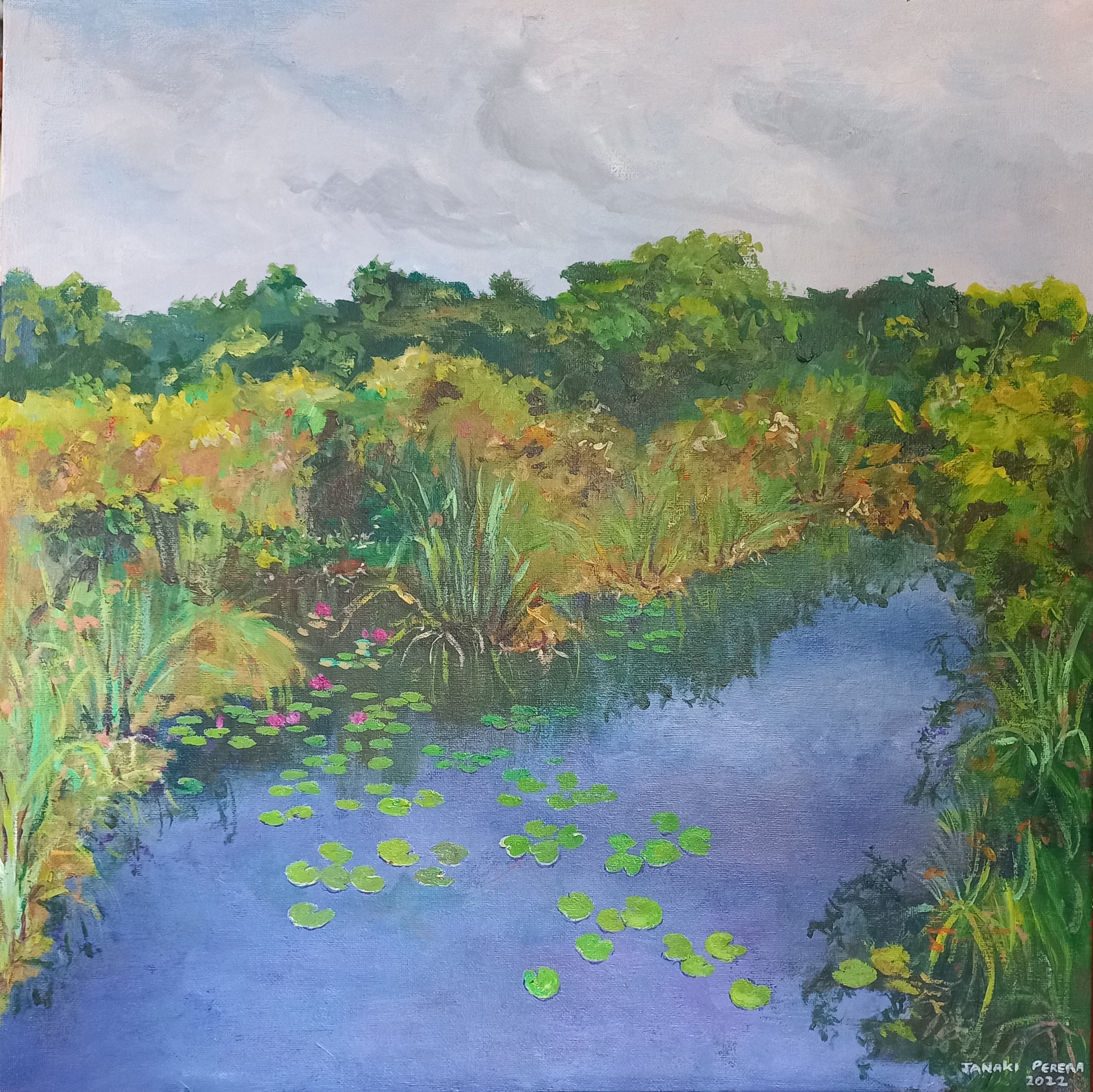 Waterlilies in the wetlands by Janaki Perera