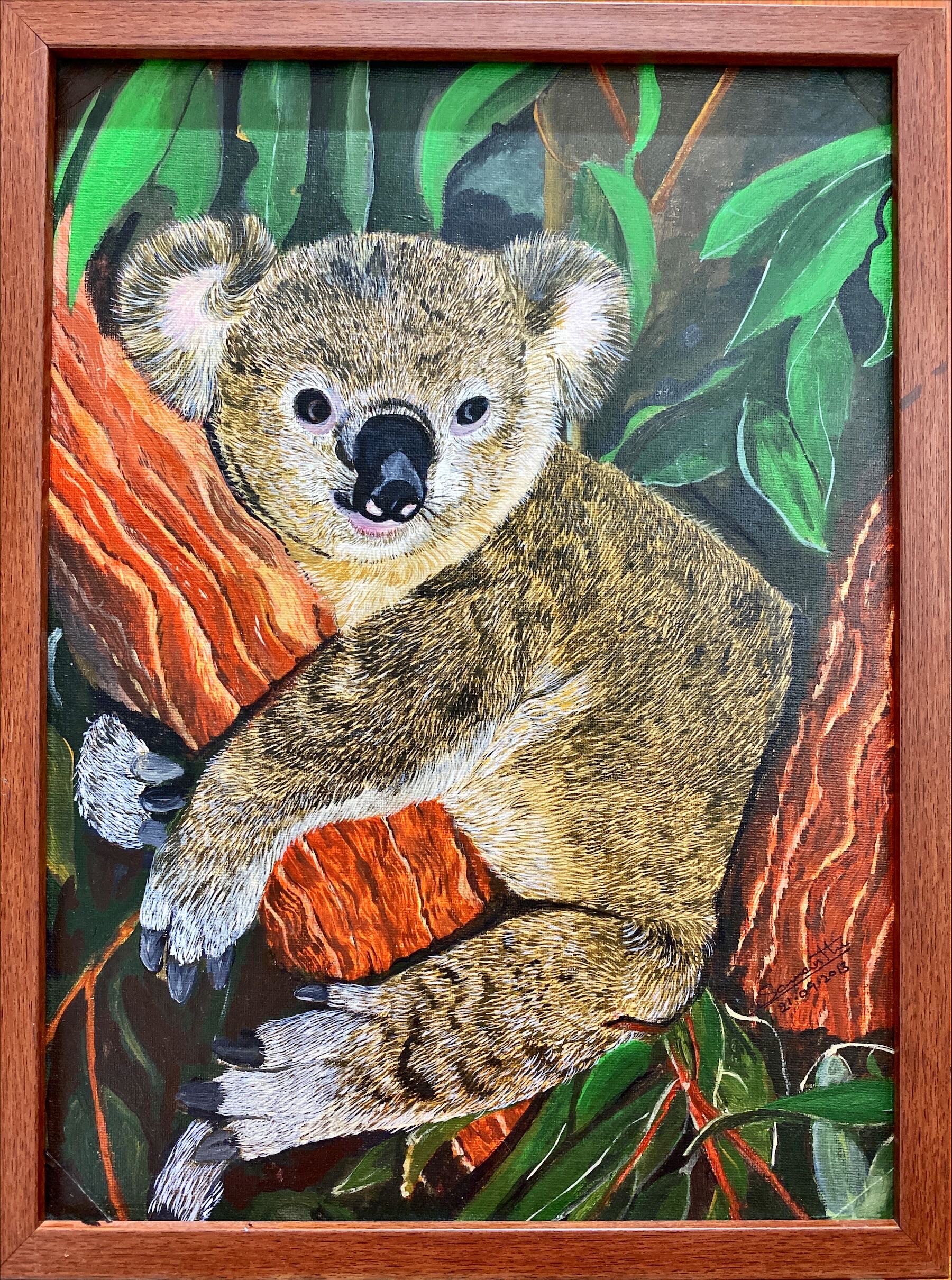 Koala bear by Samantha Wijesinghe