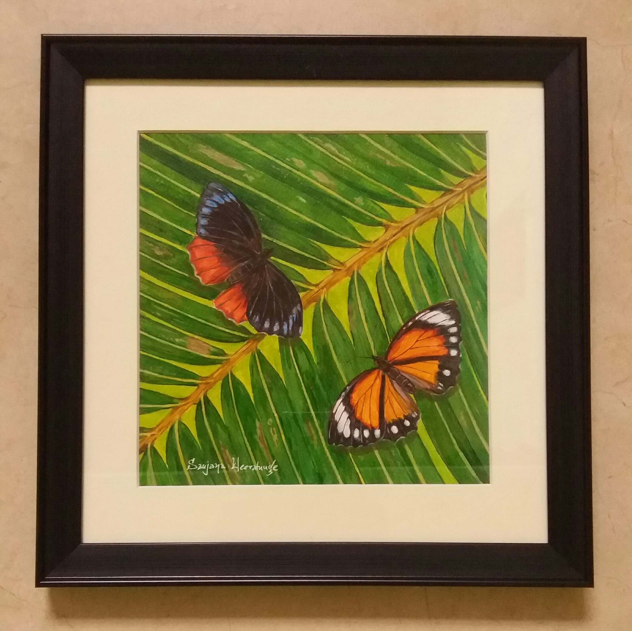 Butterfly Series by sanjaya Weeratunge