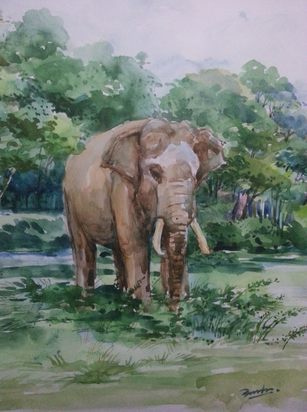 Tusker by Wasantha Balasuriya