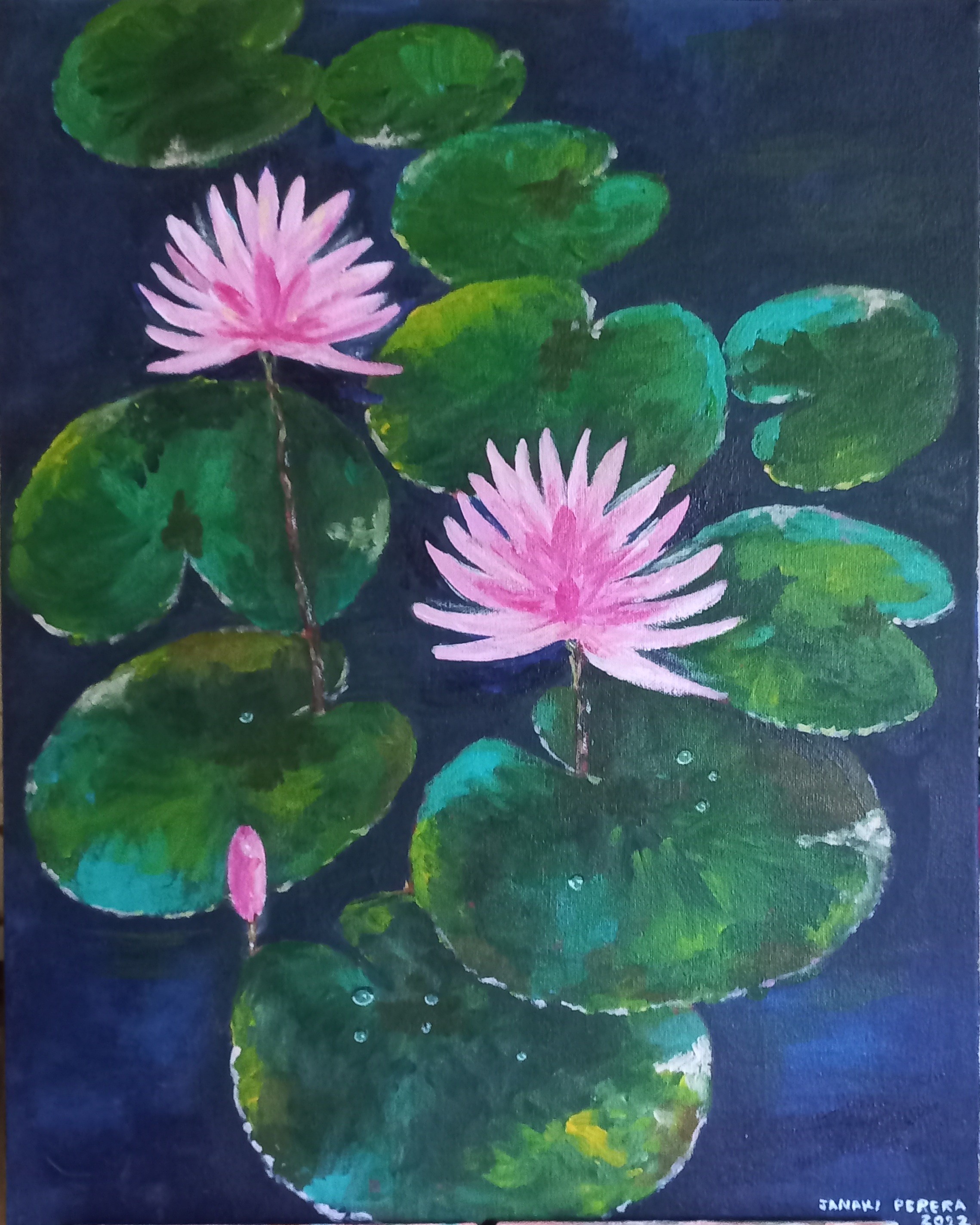 Lotus pond by Janaki Perera