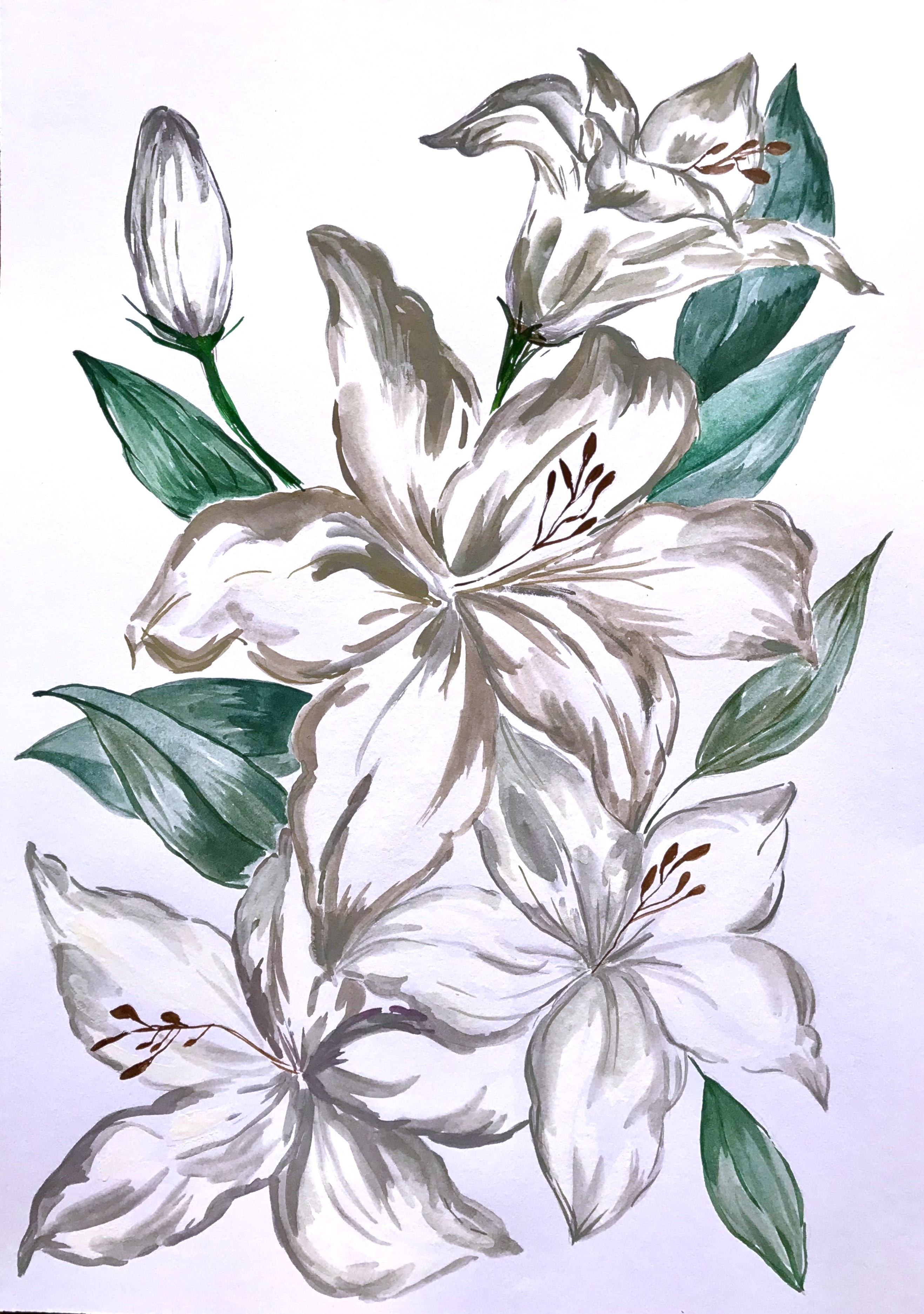 The White Lilies by Sashika Henricus