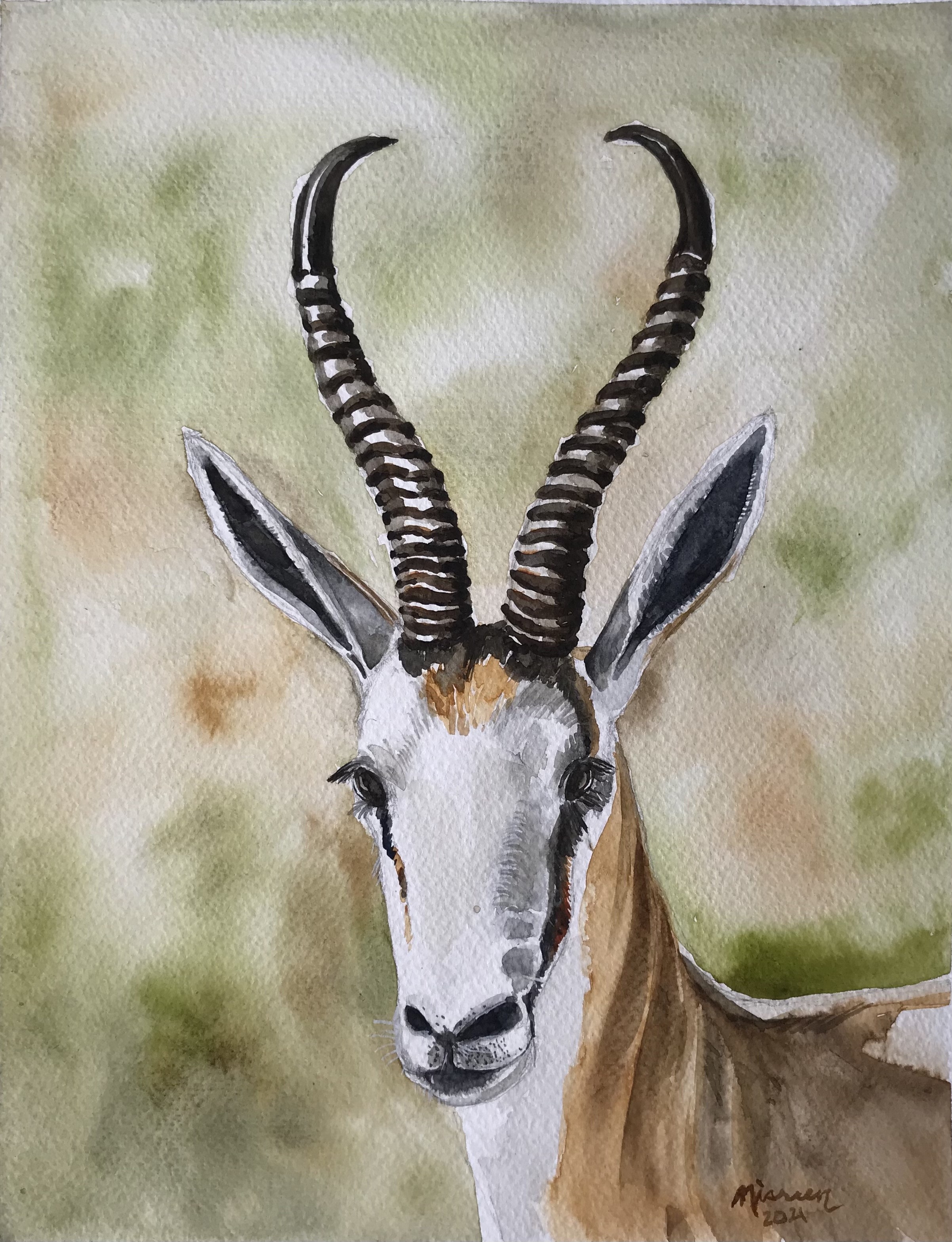 Gazelle by Nisreen Amiruddeen