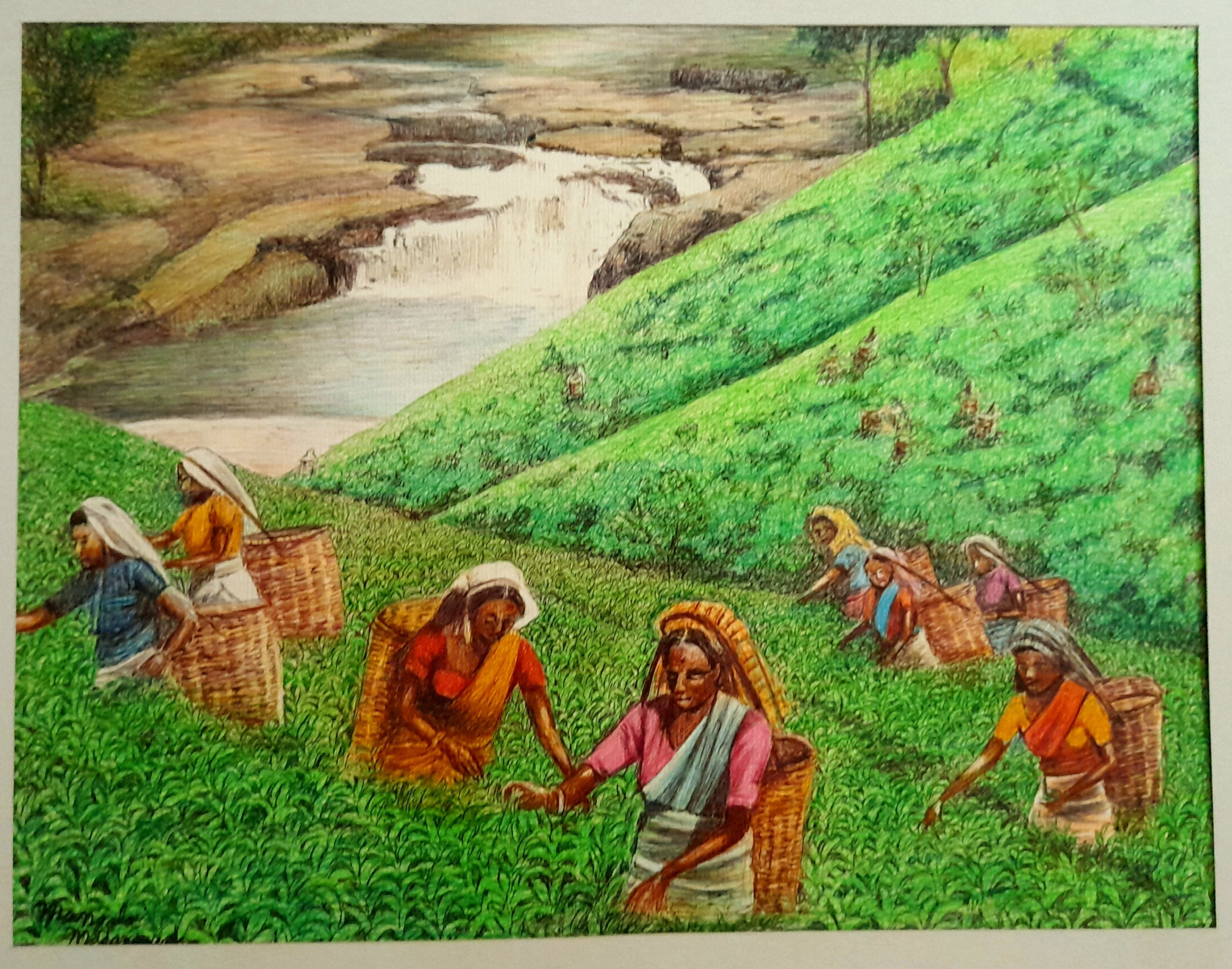Tea pluckers by Mangala Madanayake