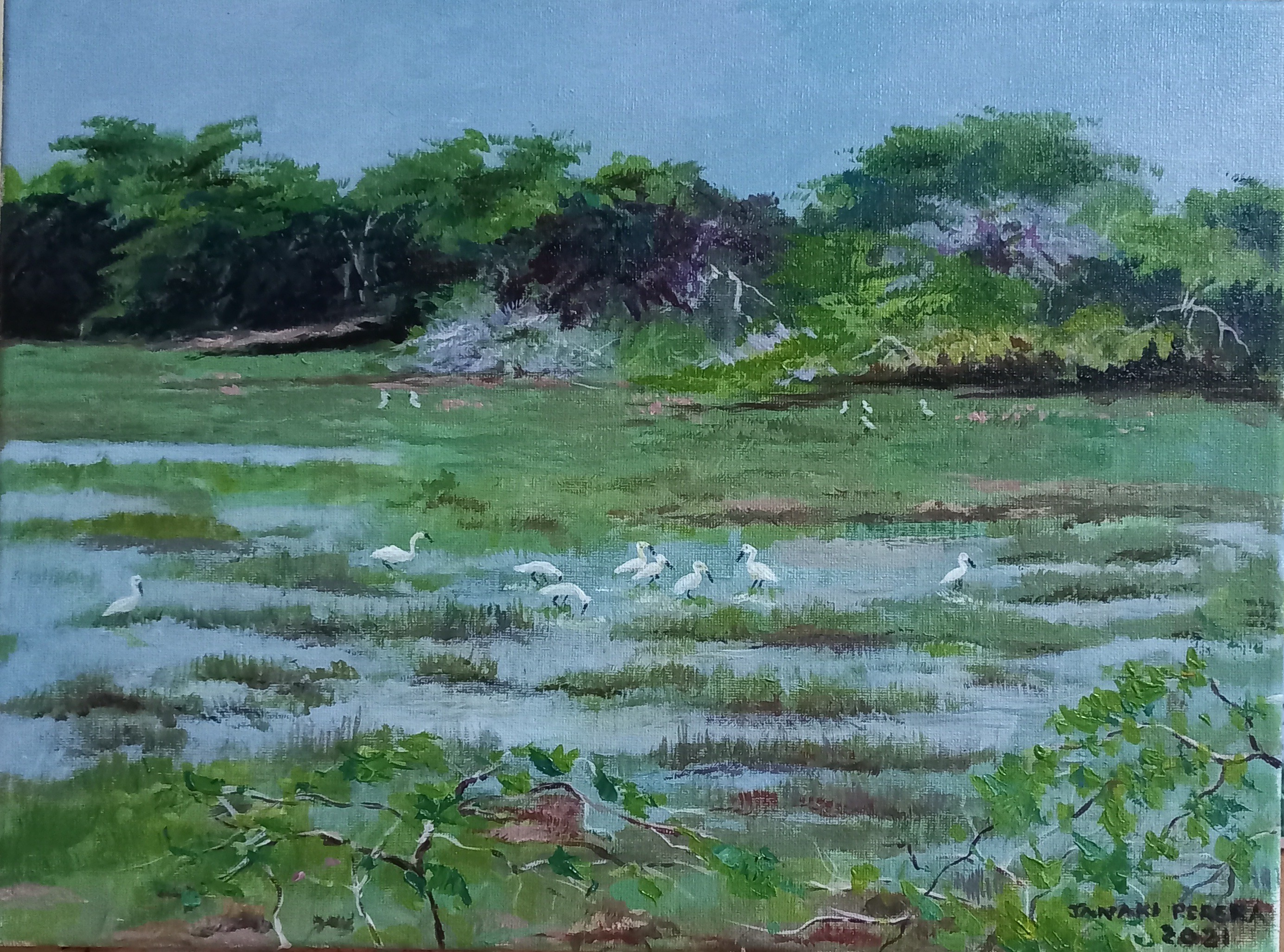 Urban wetlands by Janaki Perera