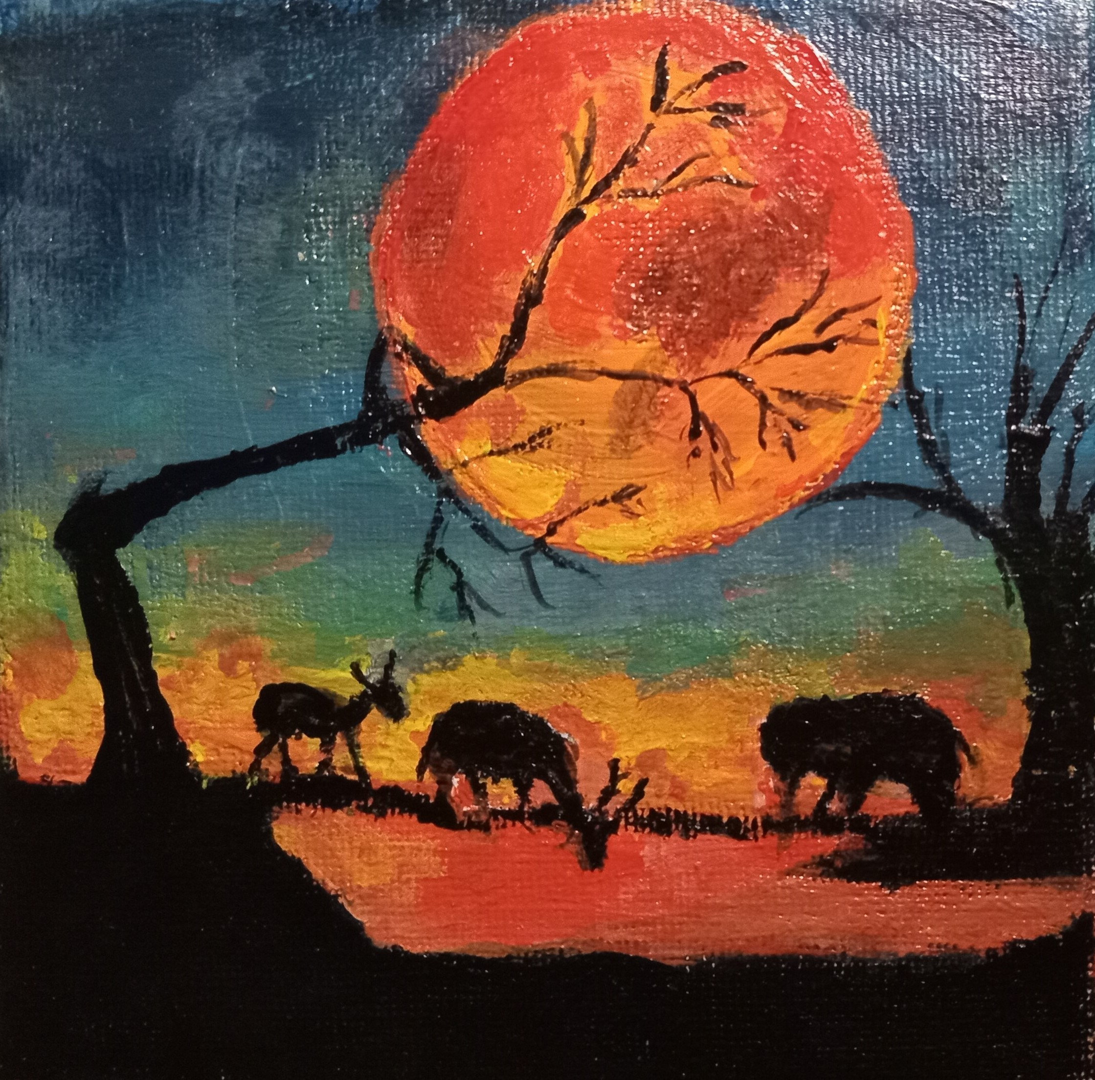 Sun Set & Animals Drinking water by Simpson David