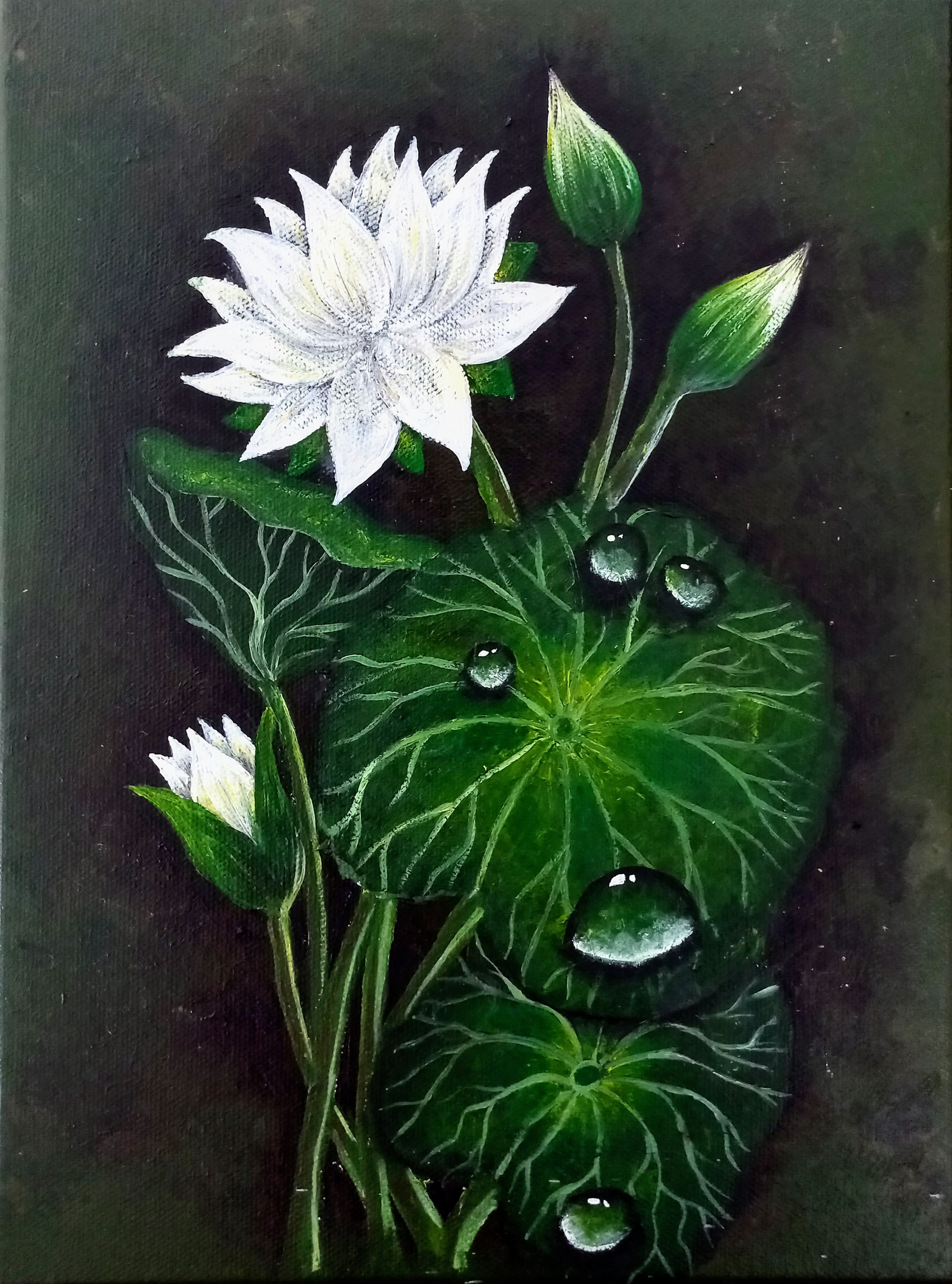 The White Lotus by Amaya Ranatunge