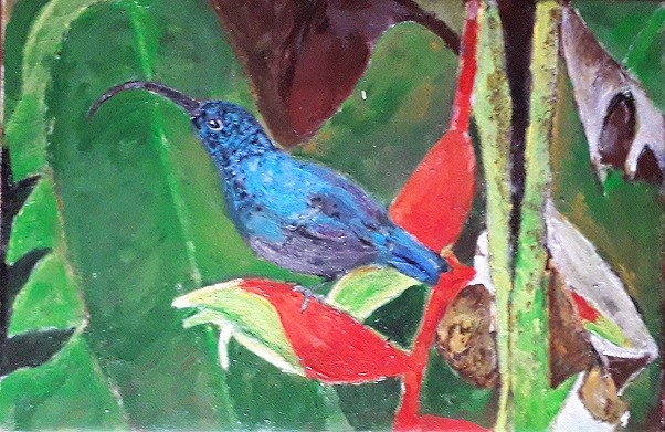 Humming Bird  ( Sri Lankan ) by Simpson David