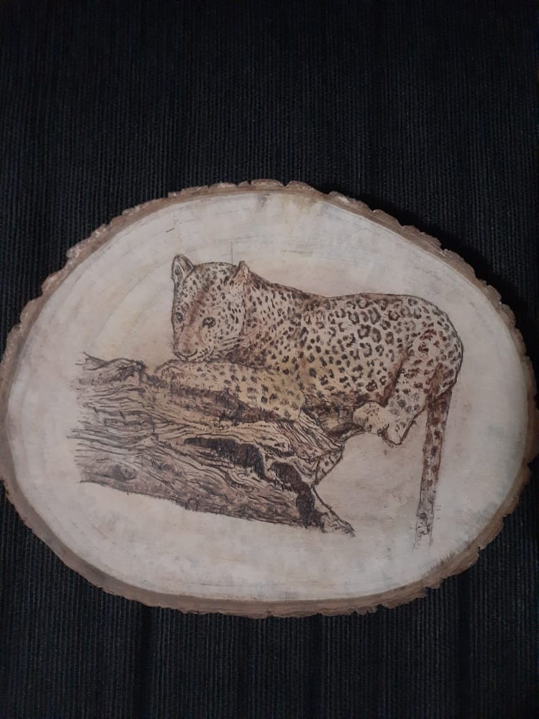 Leopard on a tree-trunk by Shyama Gunawardhana
