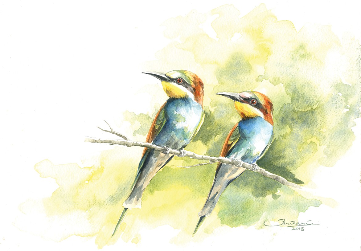 Birds 1 by Shirani Nanayakkara
