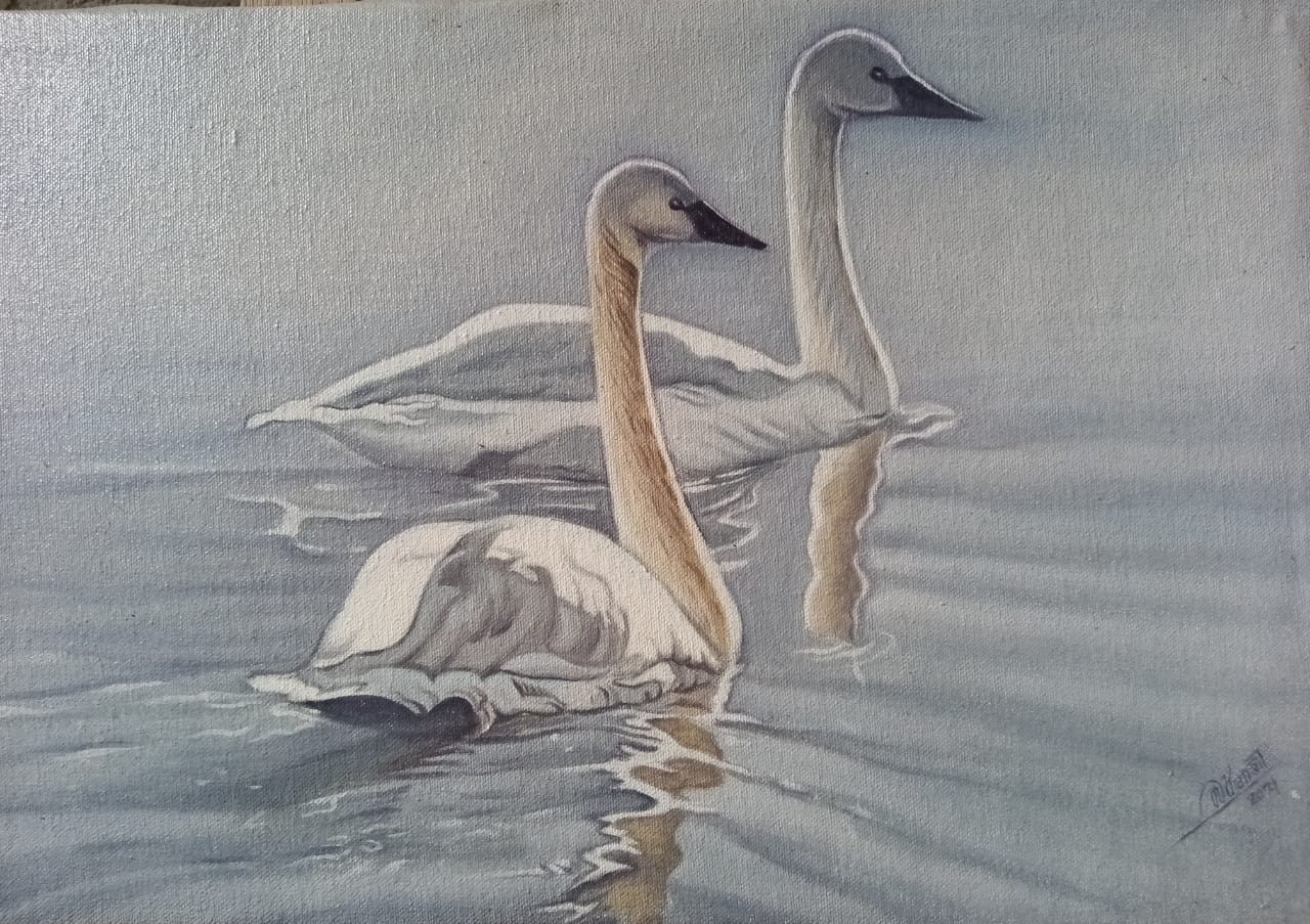Swan Pair by K.P Bernard Perera