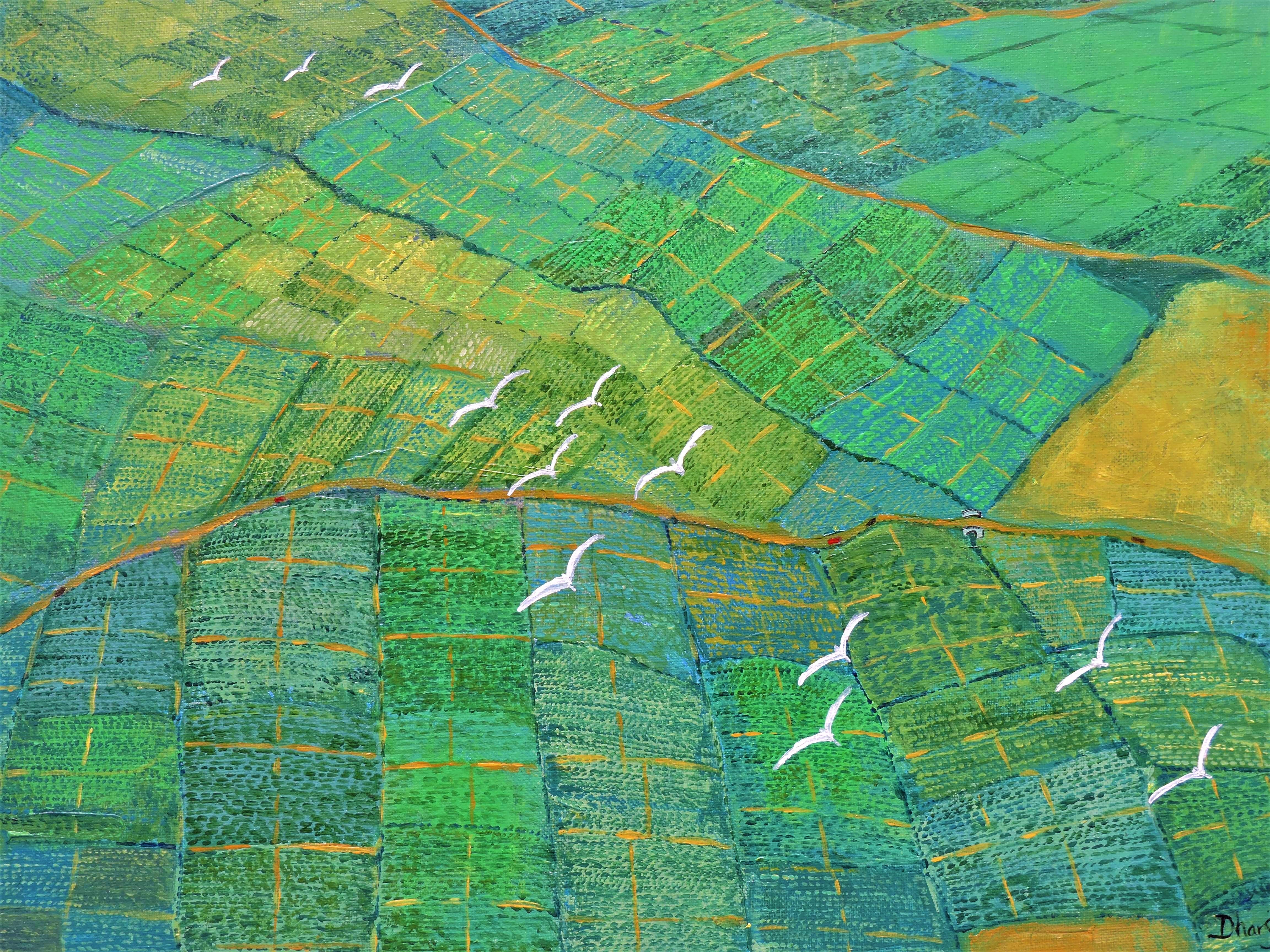 Flight over the paddy ields by Dharsha Samarasinha