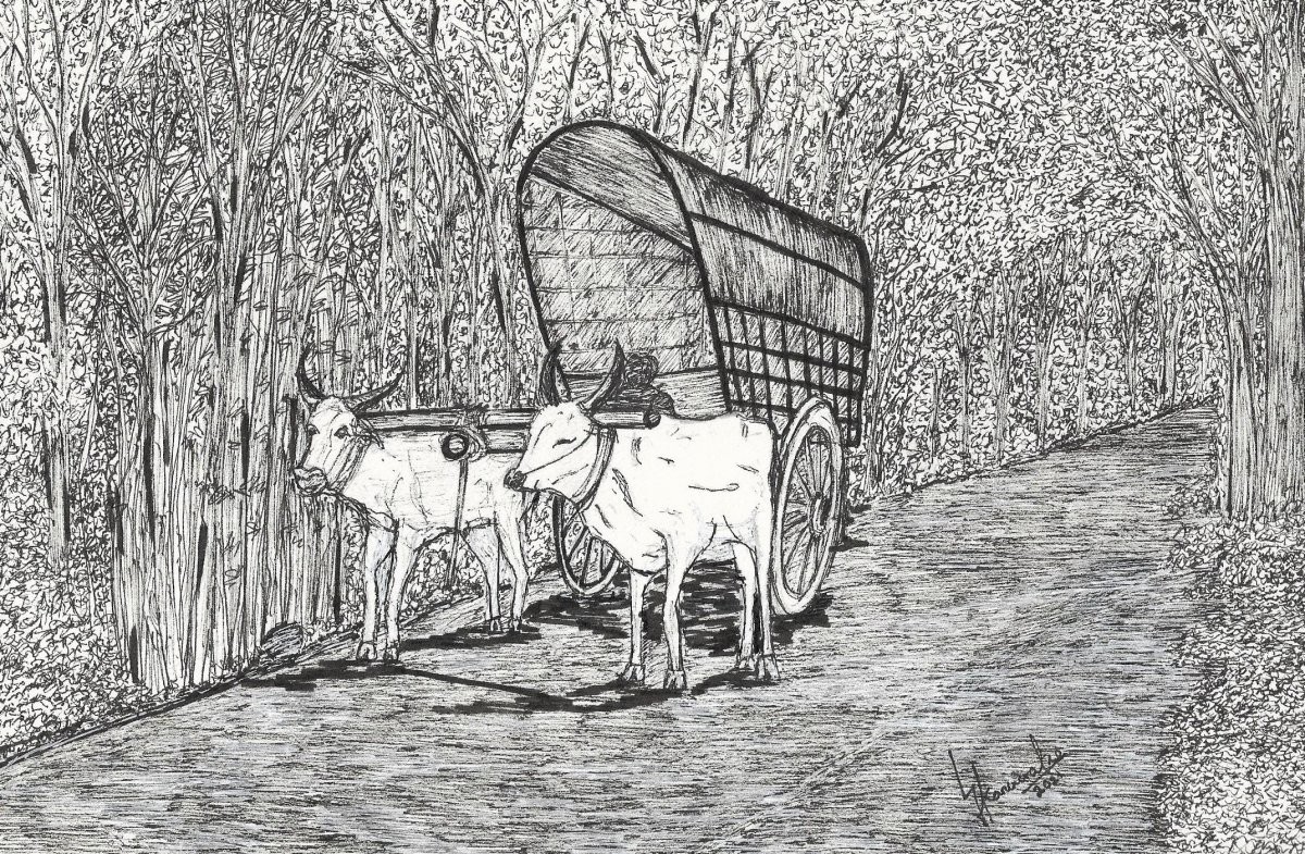 Bullock Cart in Ceylon by Lahiru Karunaratne