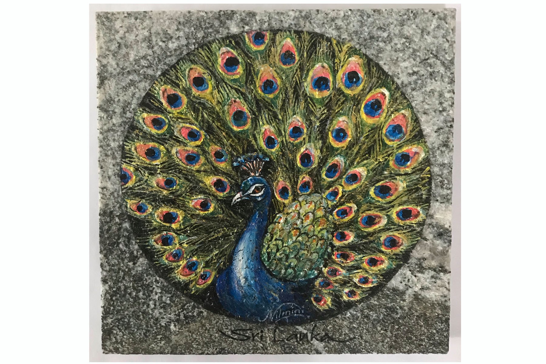 Peacock by H Mapalagama