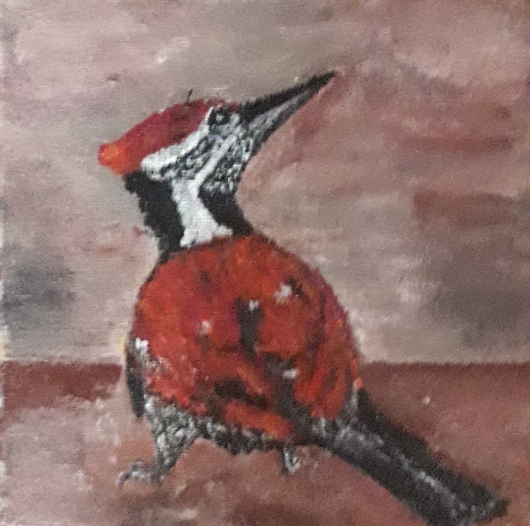 Sri Lankan Woodpecker by Simpson David