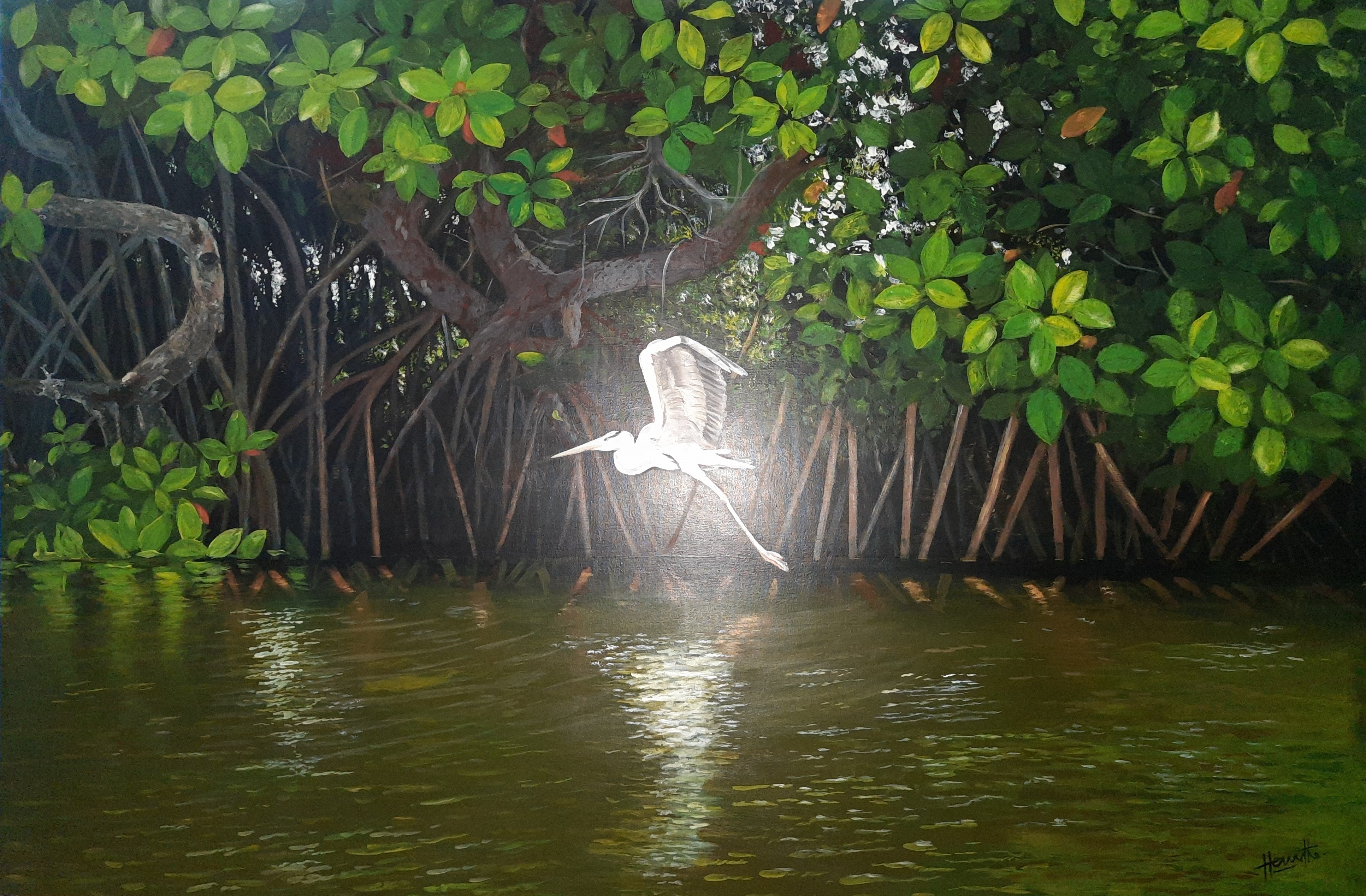 Mangroves by Hemantha Bogahawaththa