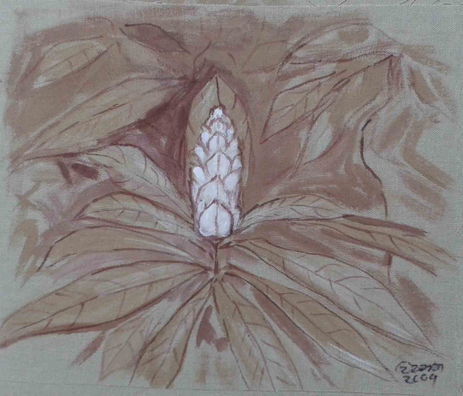 Flower buds by Wasantha Namaskara