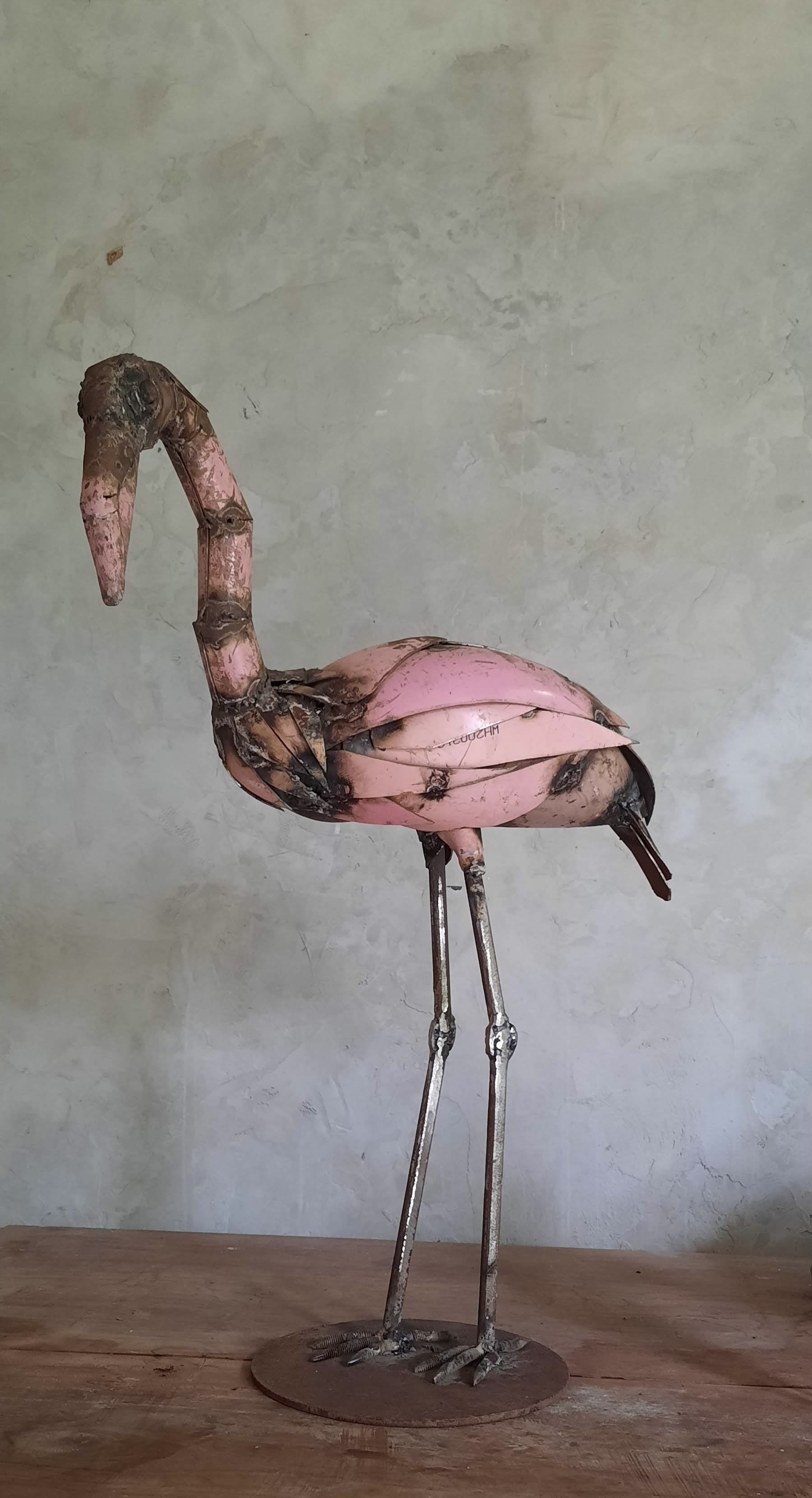 Flamingo by Dep Thushara