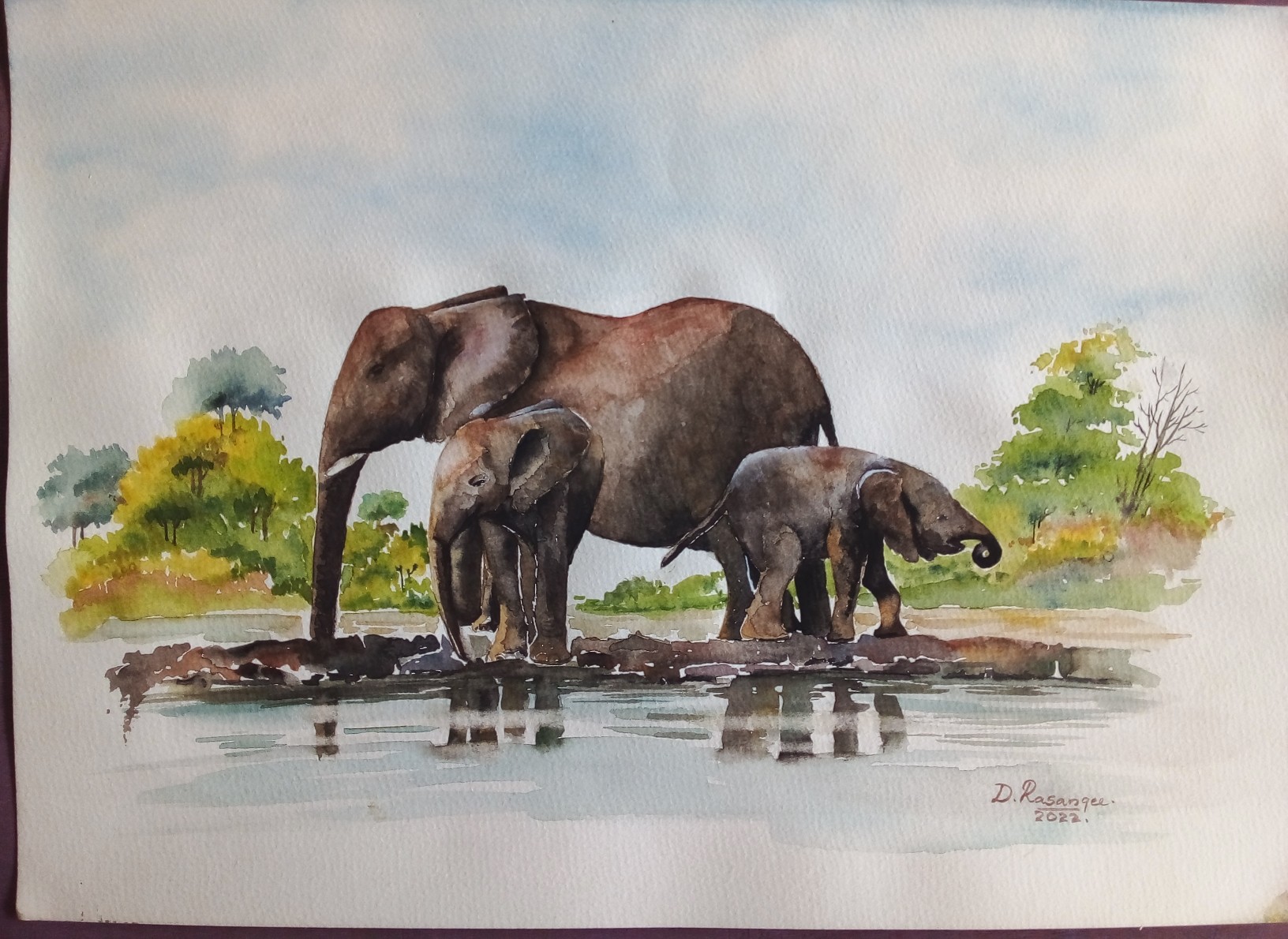 elephants 02 by Dhamitha Rasangee