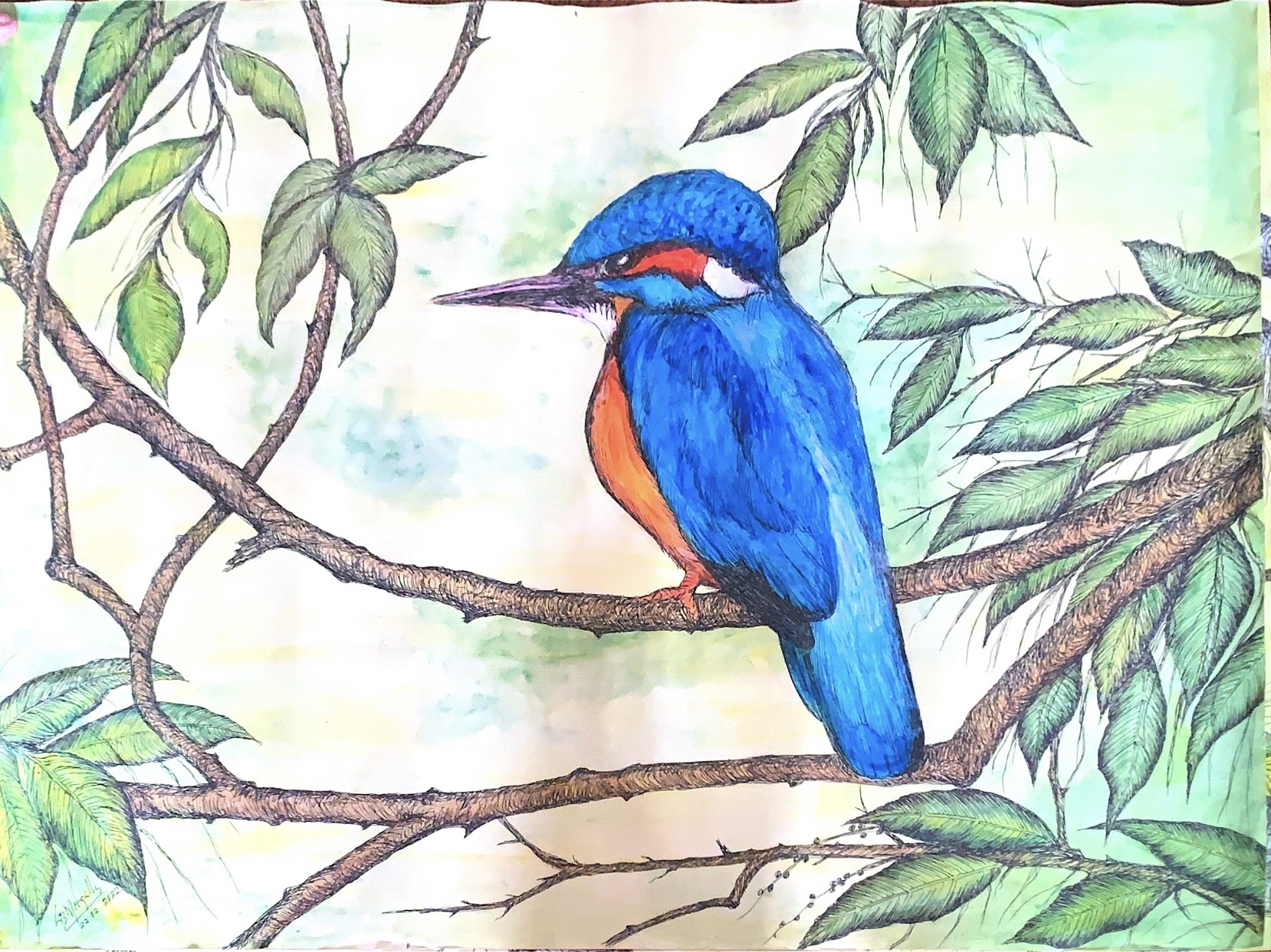 Lanka Birds by Gamini Meegalla