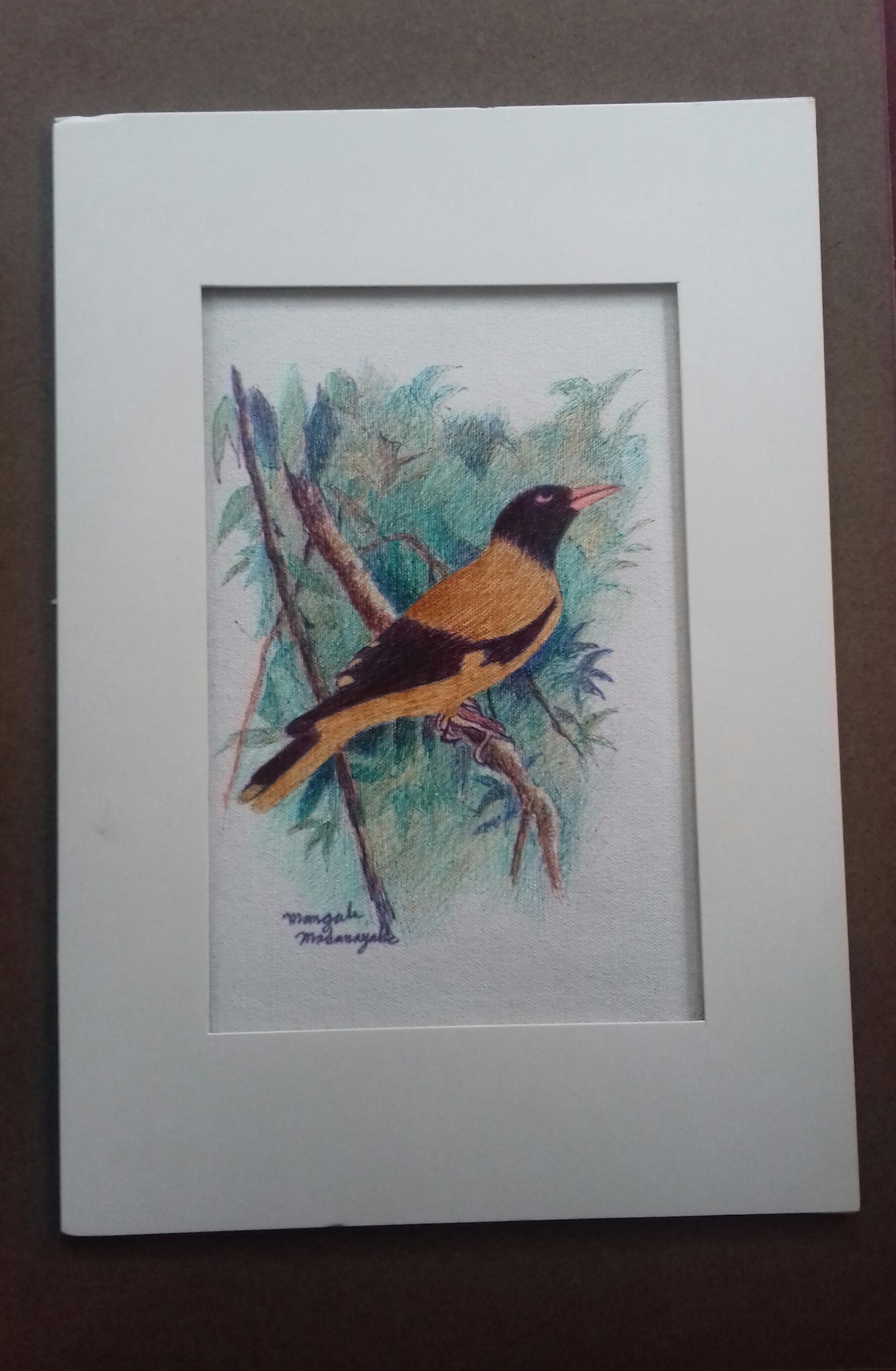 Bird by Mangala Madanayake