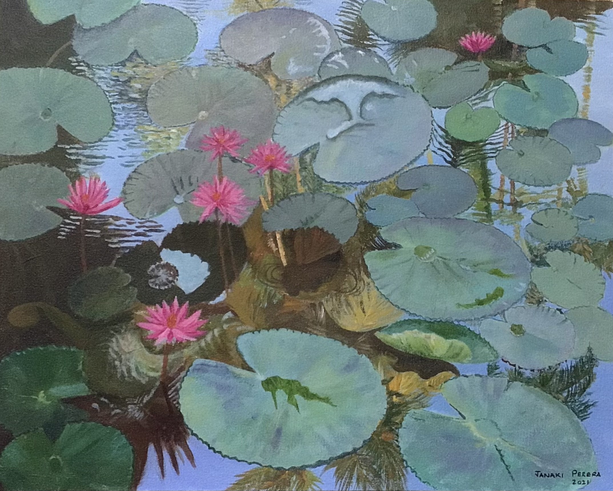 Lotus Pond by Janaki Perera