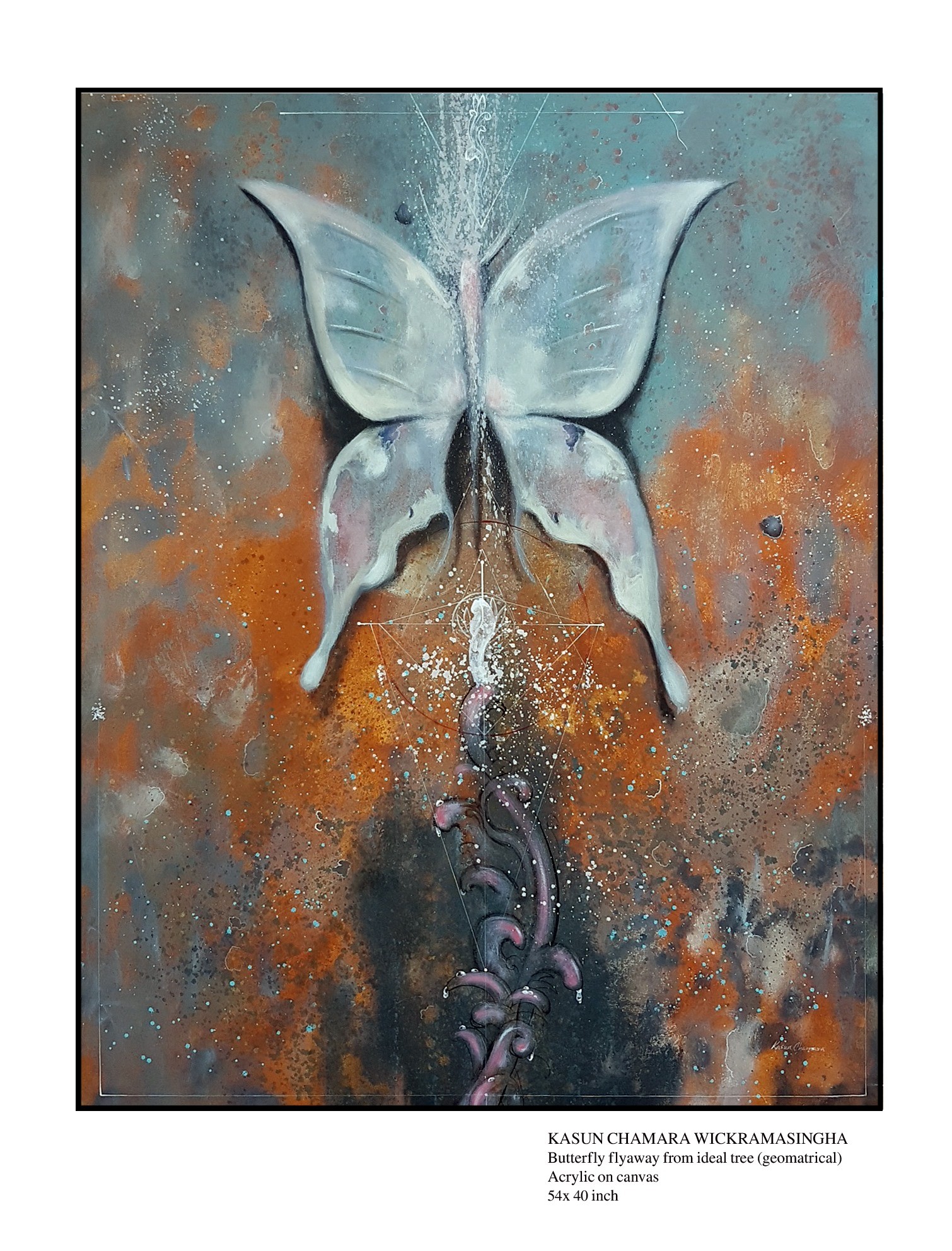 Butterfly 03 by kasun chamara wickramasinghe