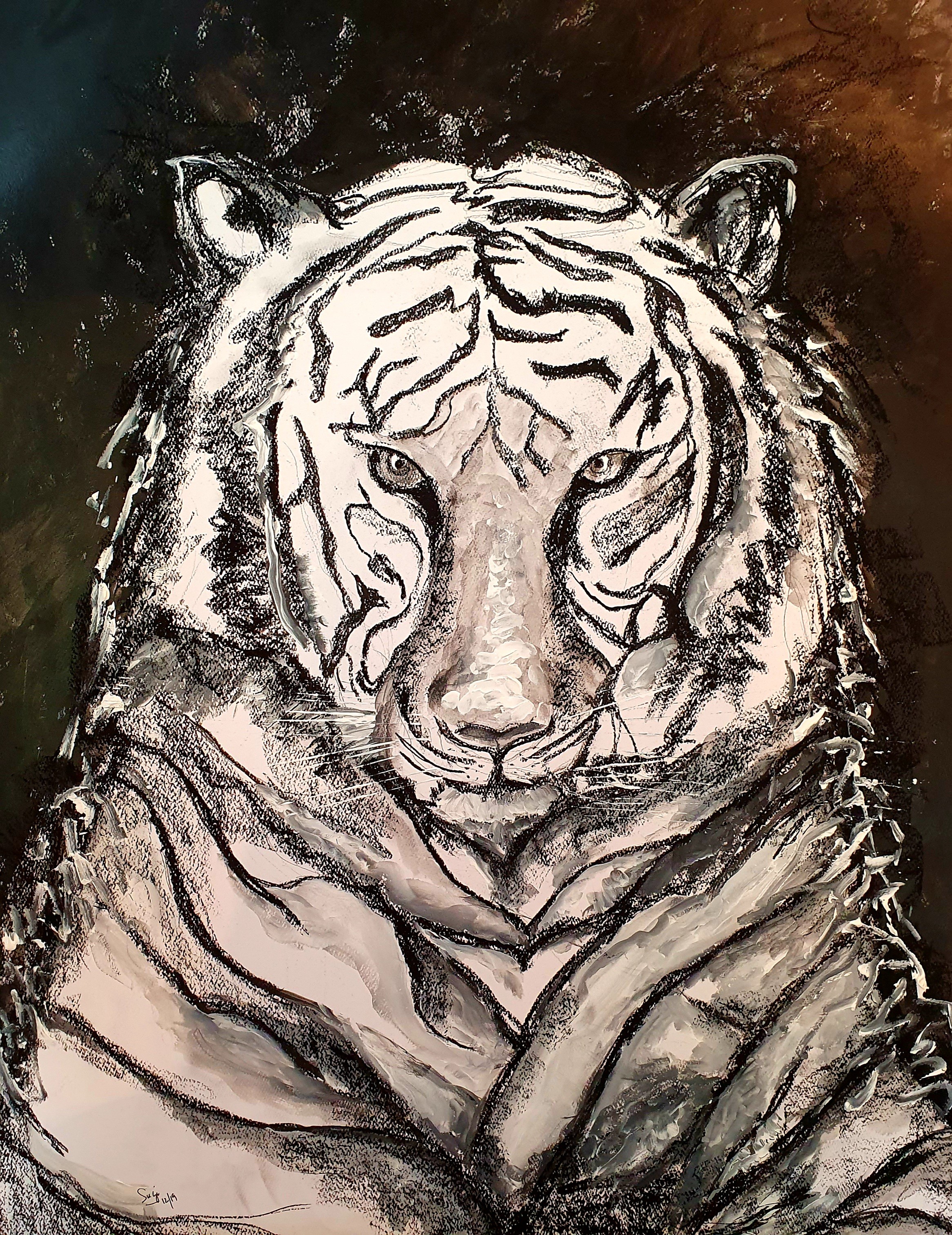 Panthera tigris by Suganya J