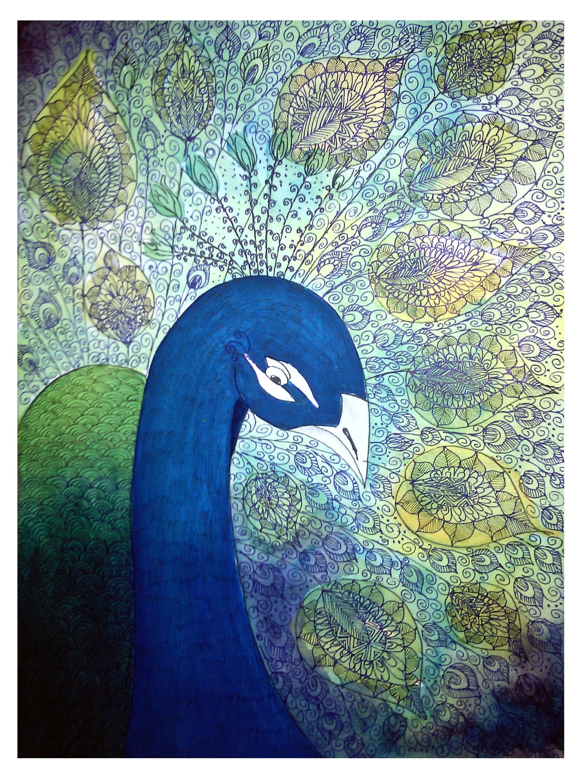 Peacock by Achini Wickramaratna