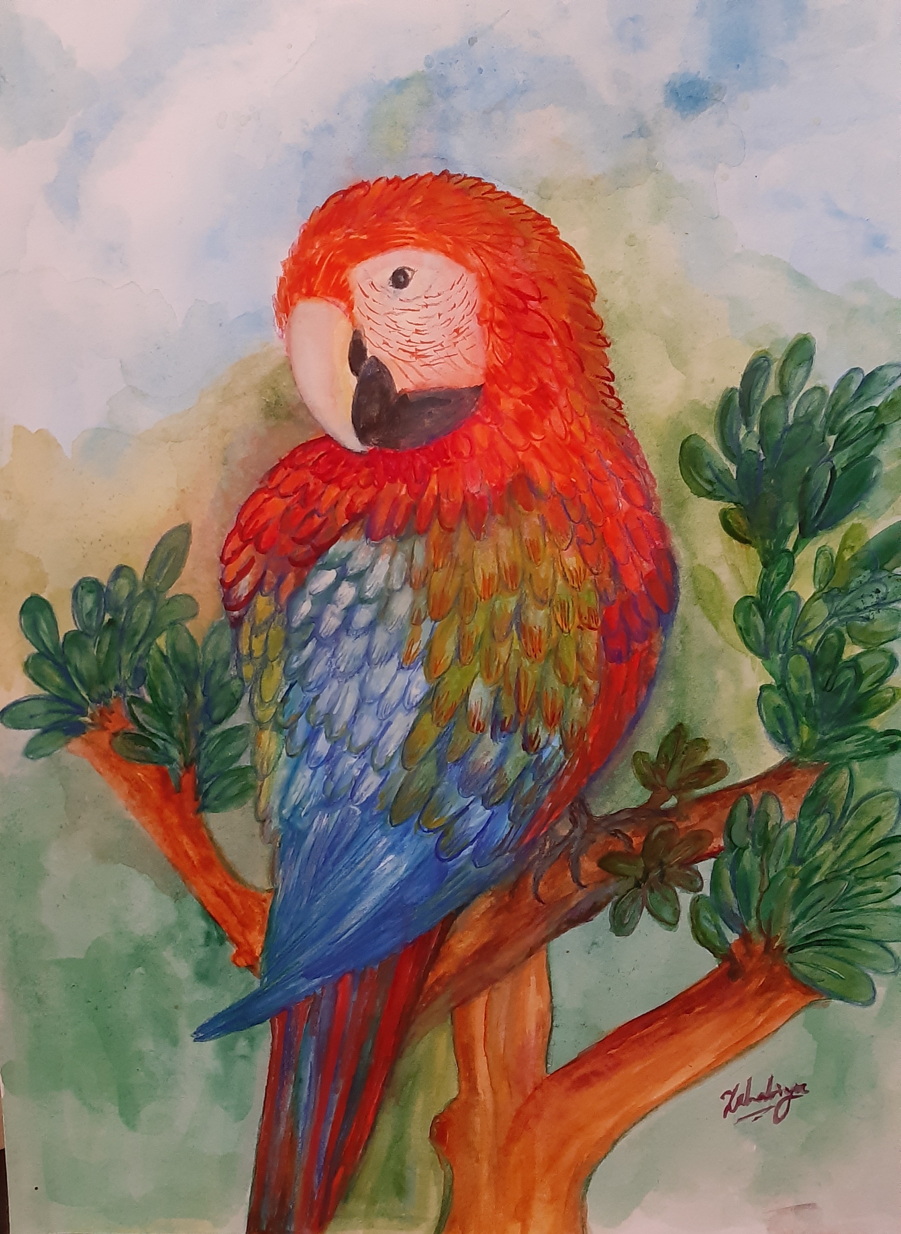 Sweet macaw by Zahabiya Amiruddeen