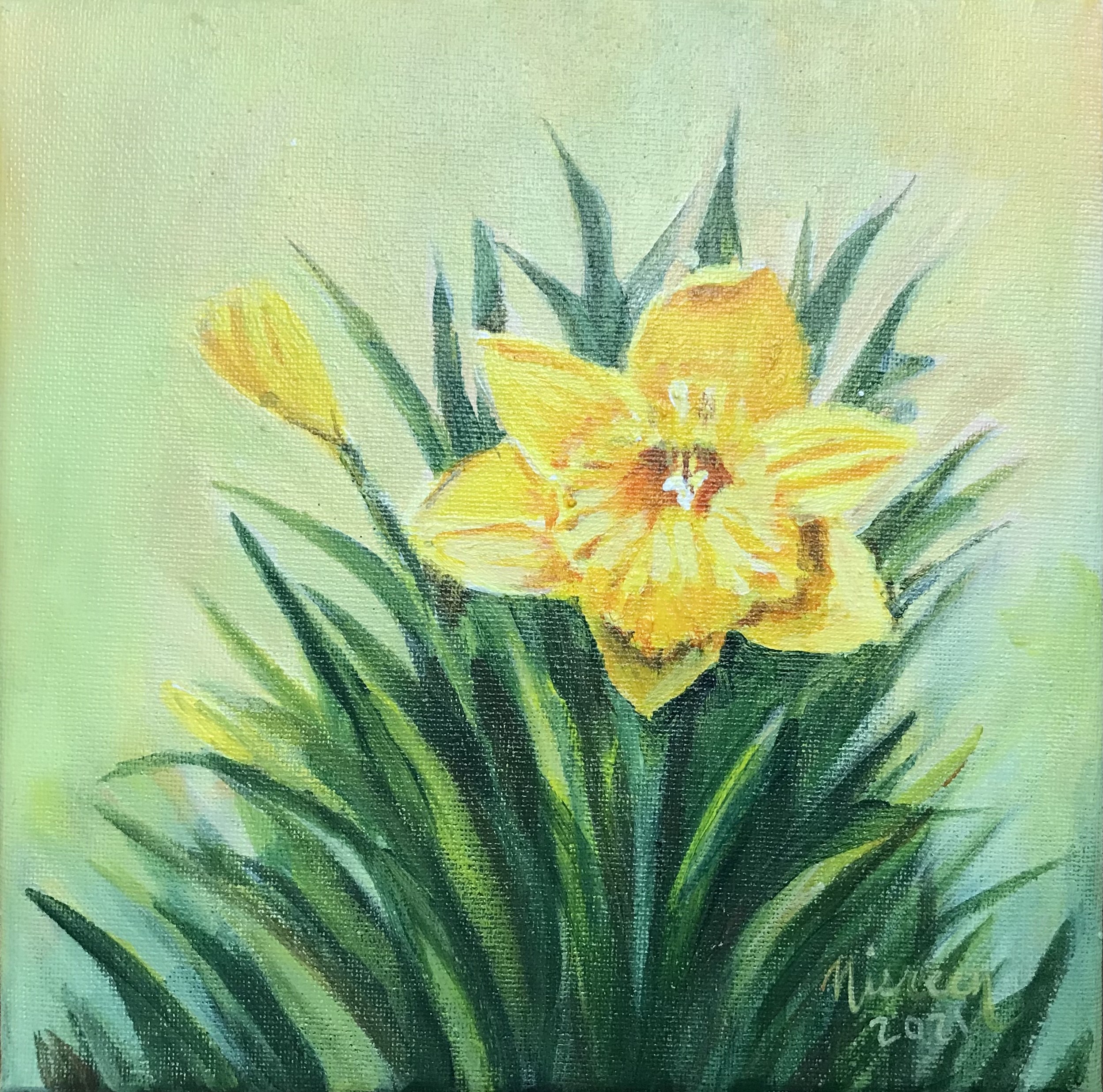 Daffodil by Nisreen Amiruddeen