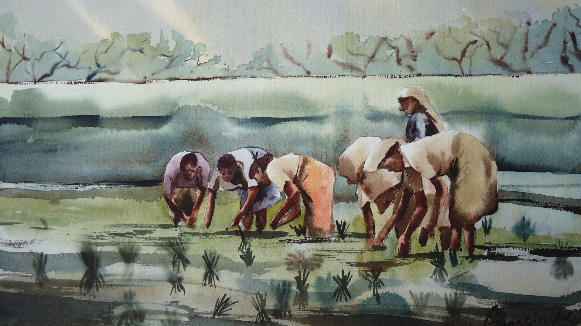 Palnting Paddy by Palitha Gunasinghe