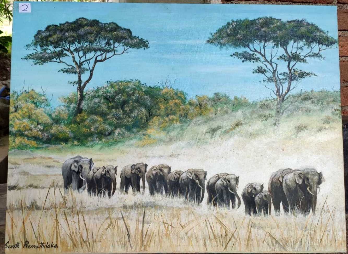 Herd of elephants by Sarath Premathilake