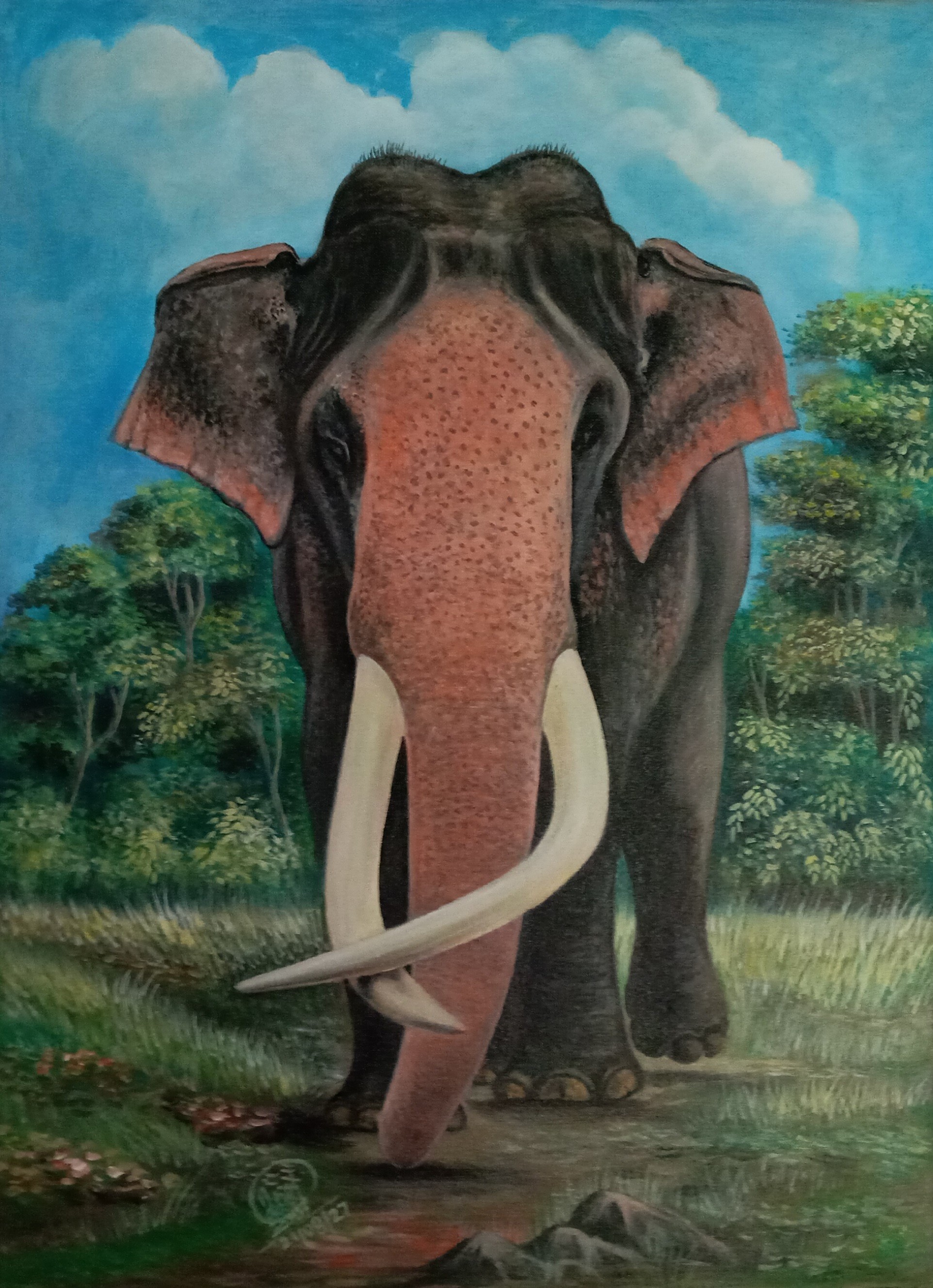 A lone elephant by SUMITH FERNANDO