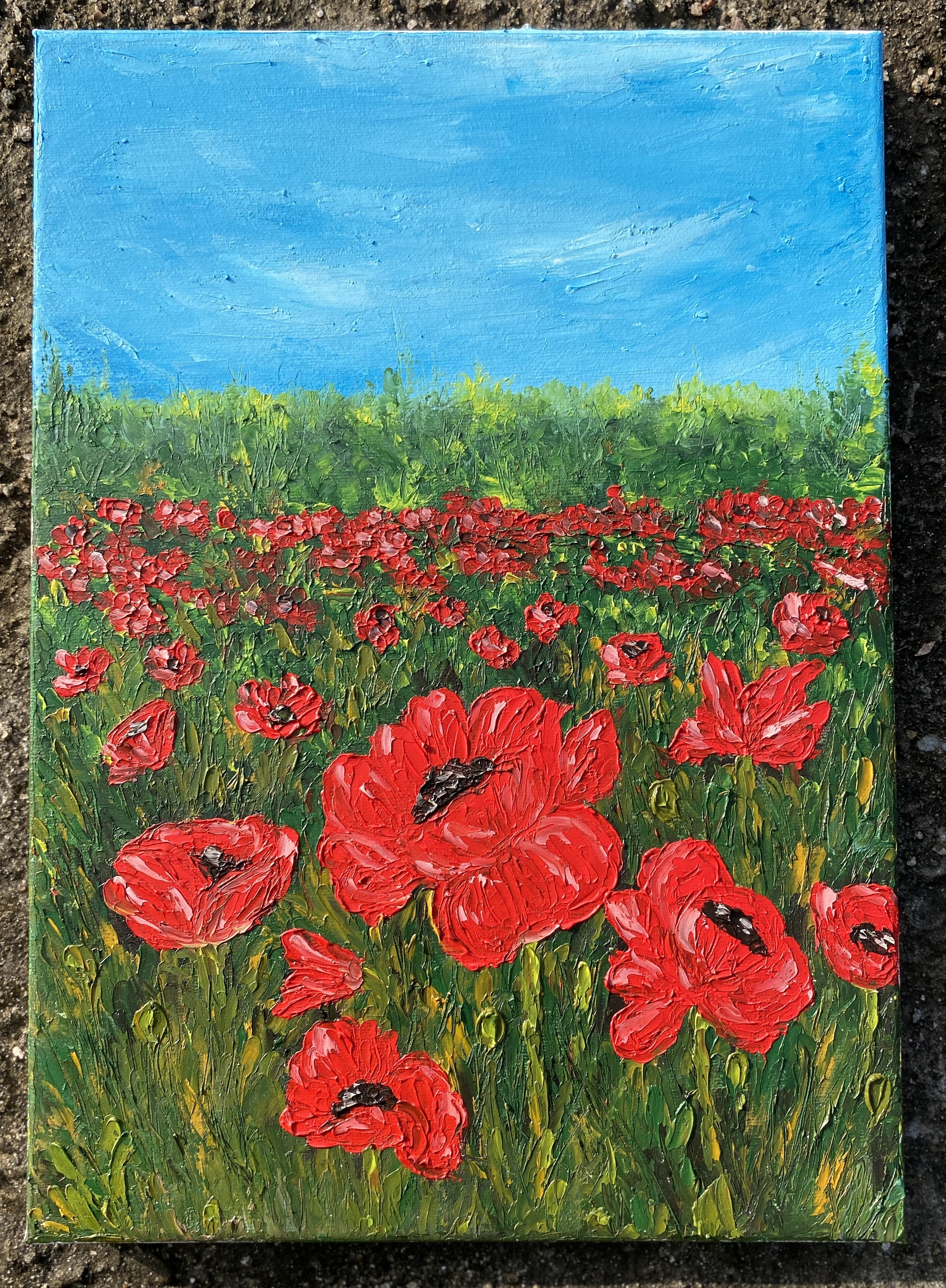 Poppy Texture Garden by Shaza Fahath