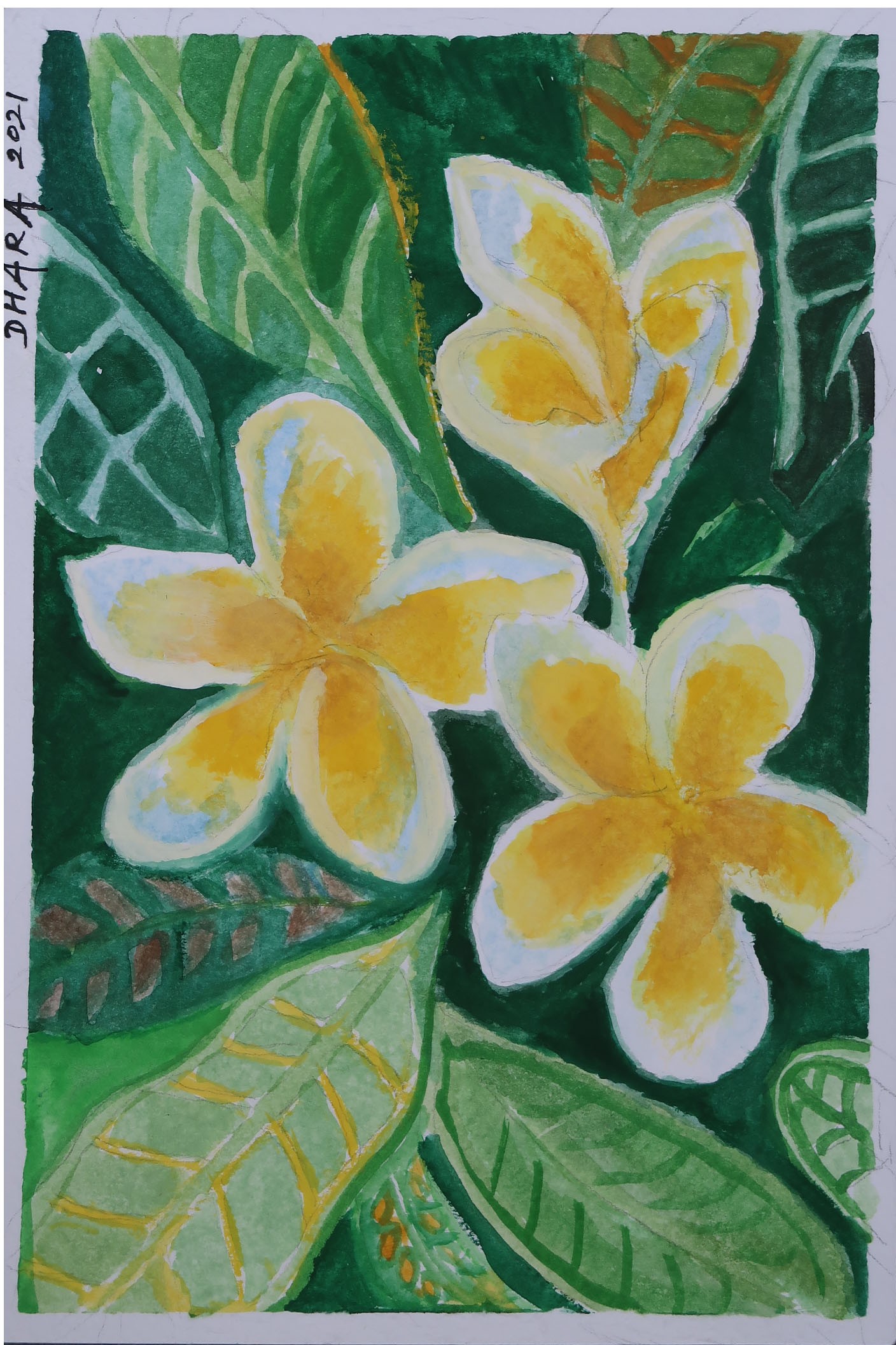 Frangipani by Dhara Sapukotana