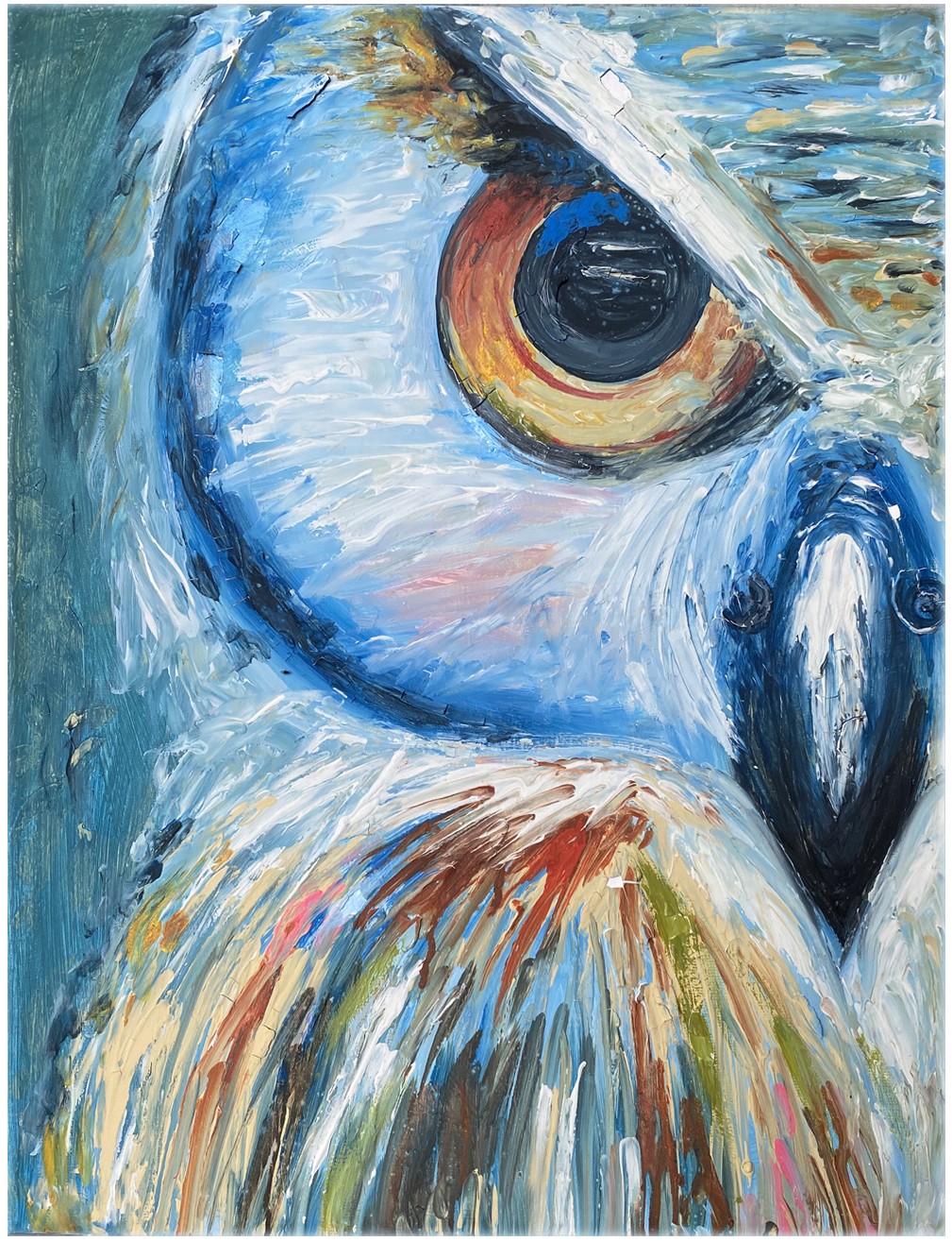 Owlish Anger by Vindi Perera