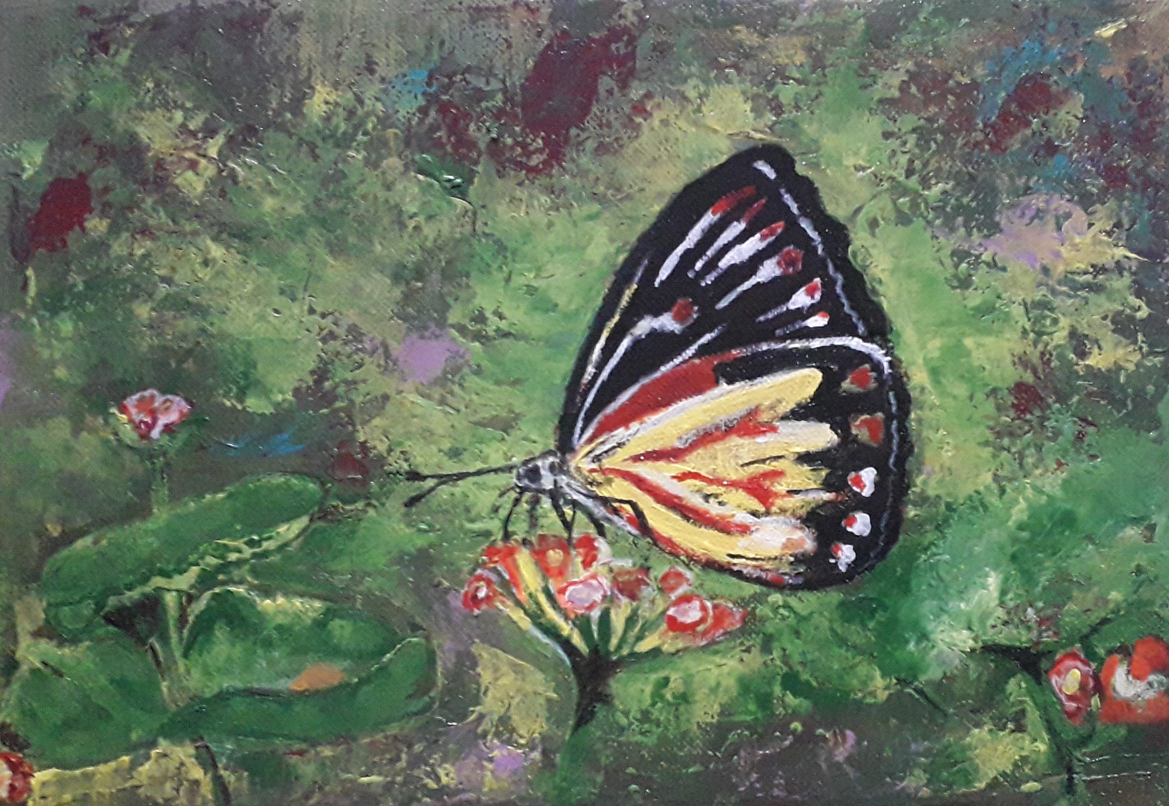 Butterfly by Simpson David