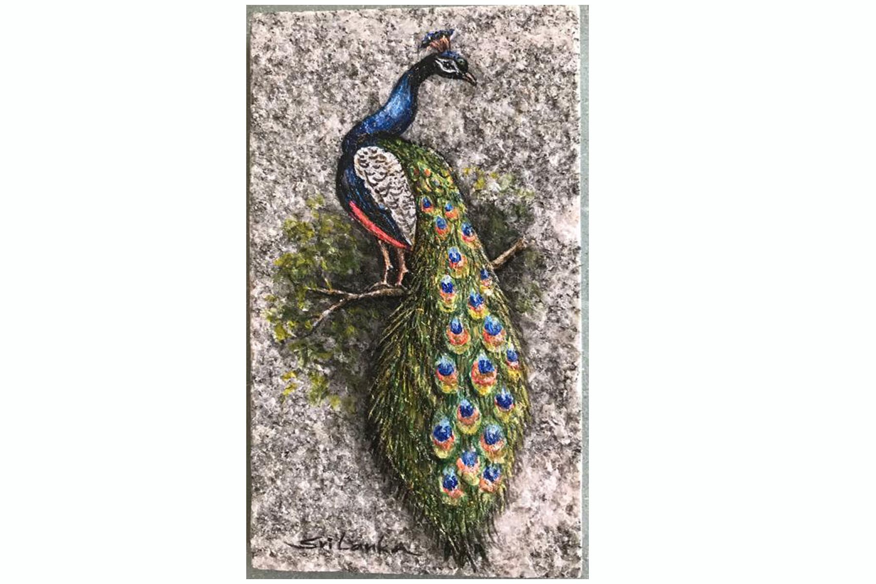 Peacock (Wildlife- Sri Lanka) by H Mapalagama